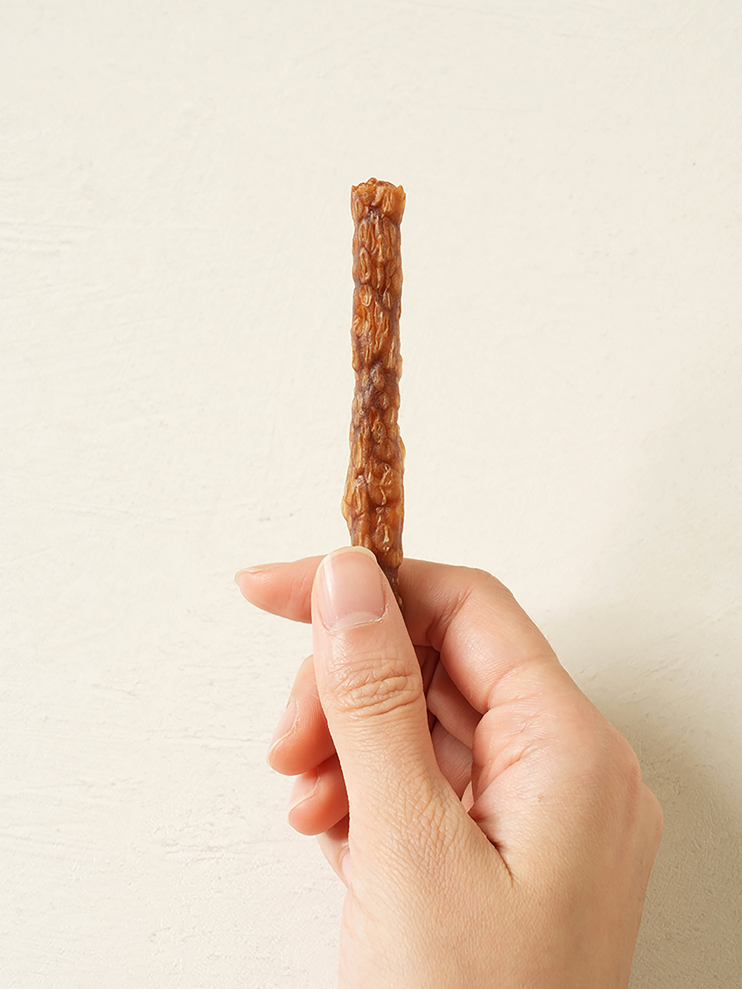 [펫] 뉴트리션 저키 양고기 70 g