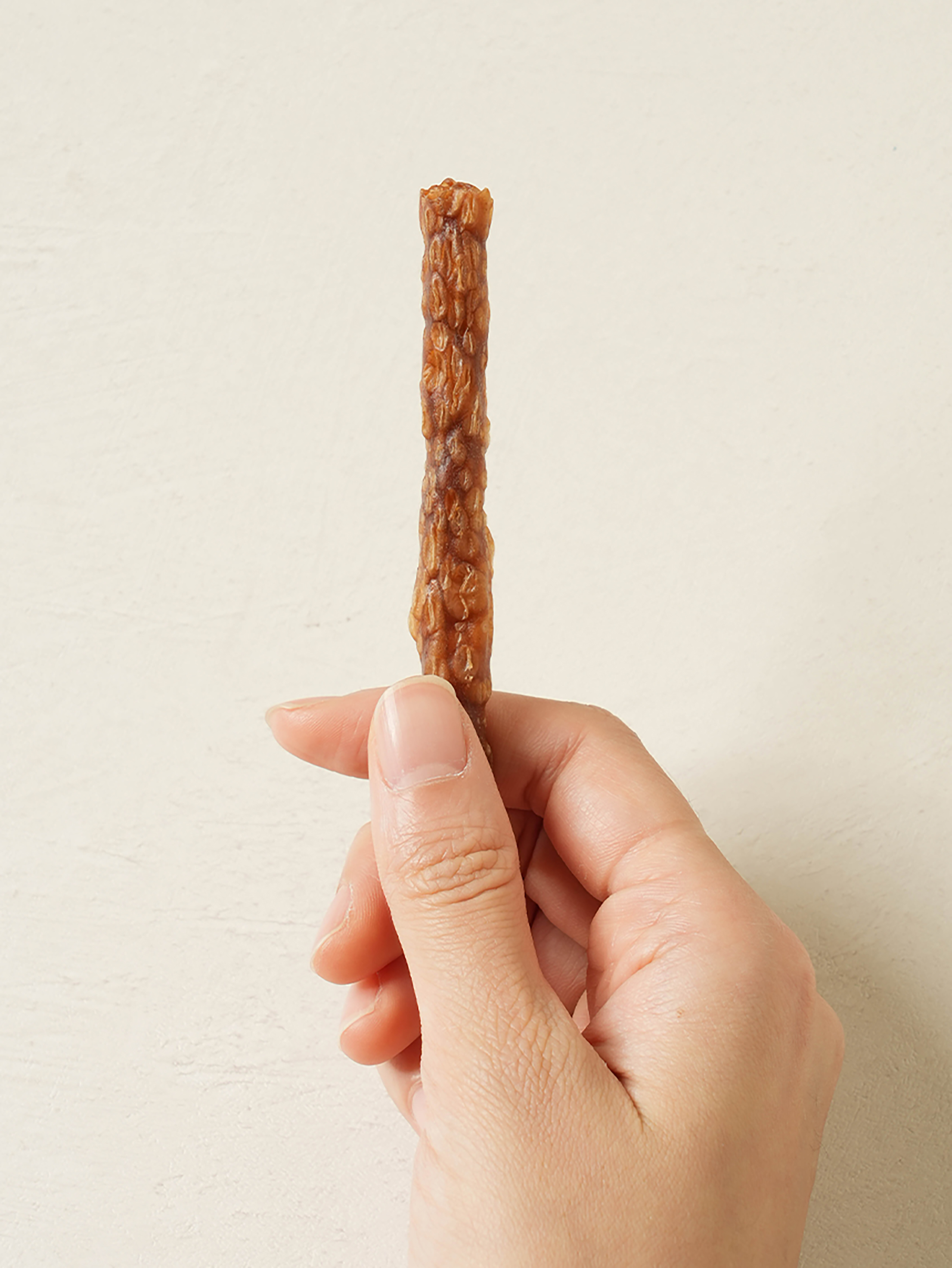[펫] 뉴트리션 저키 소고기 70 g