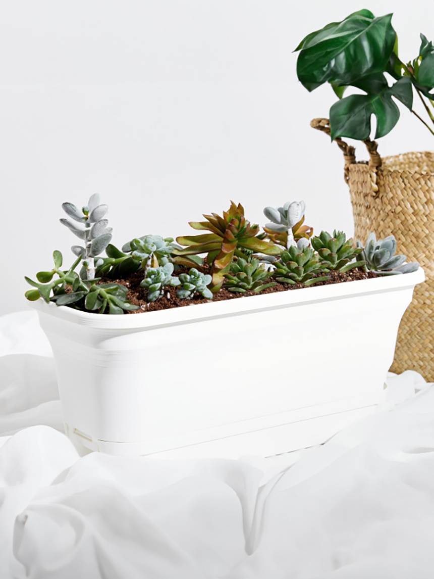 플라스틱 직사각 화분 40 X 18 cm