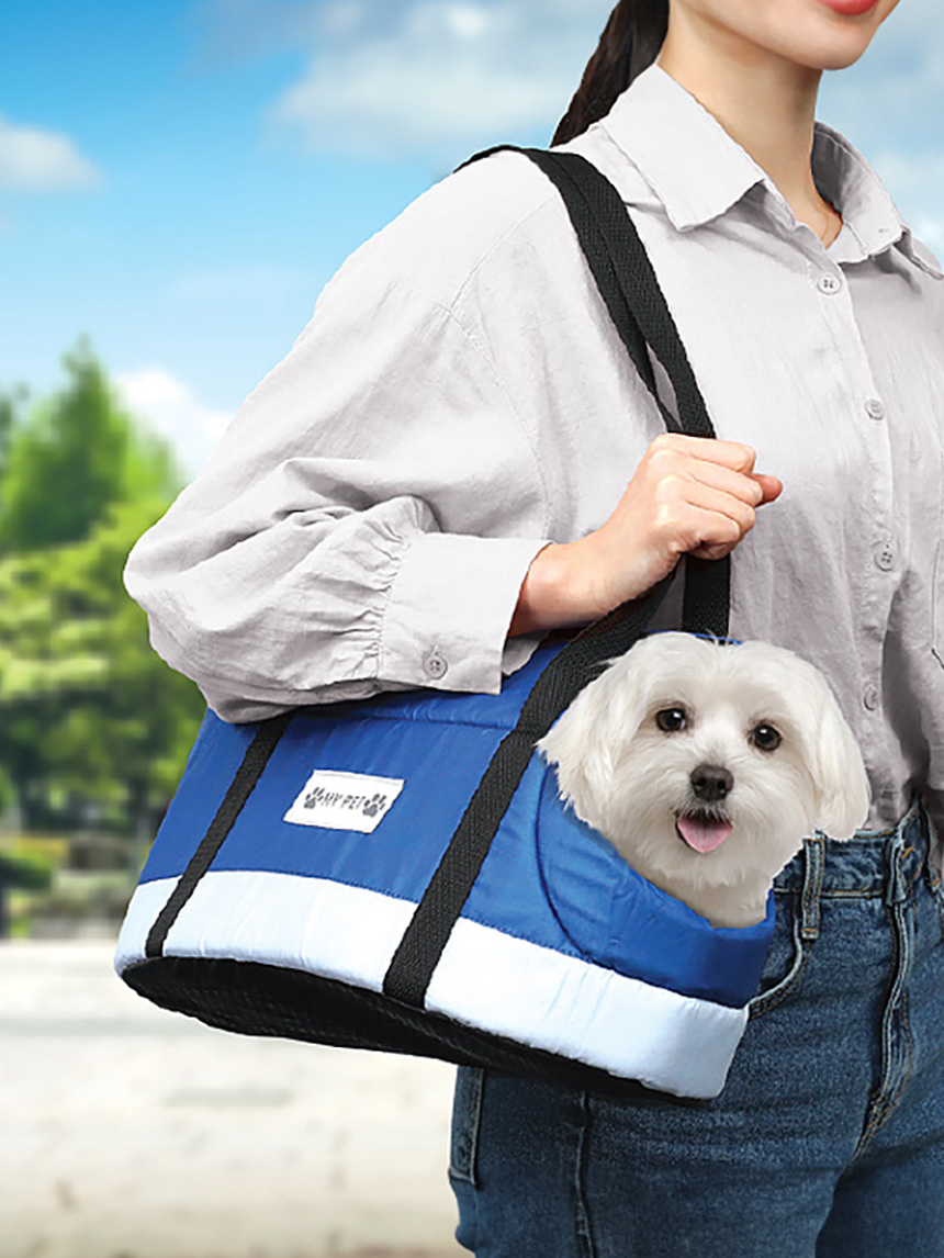 반려동물 캐리어
