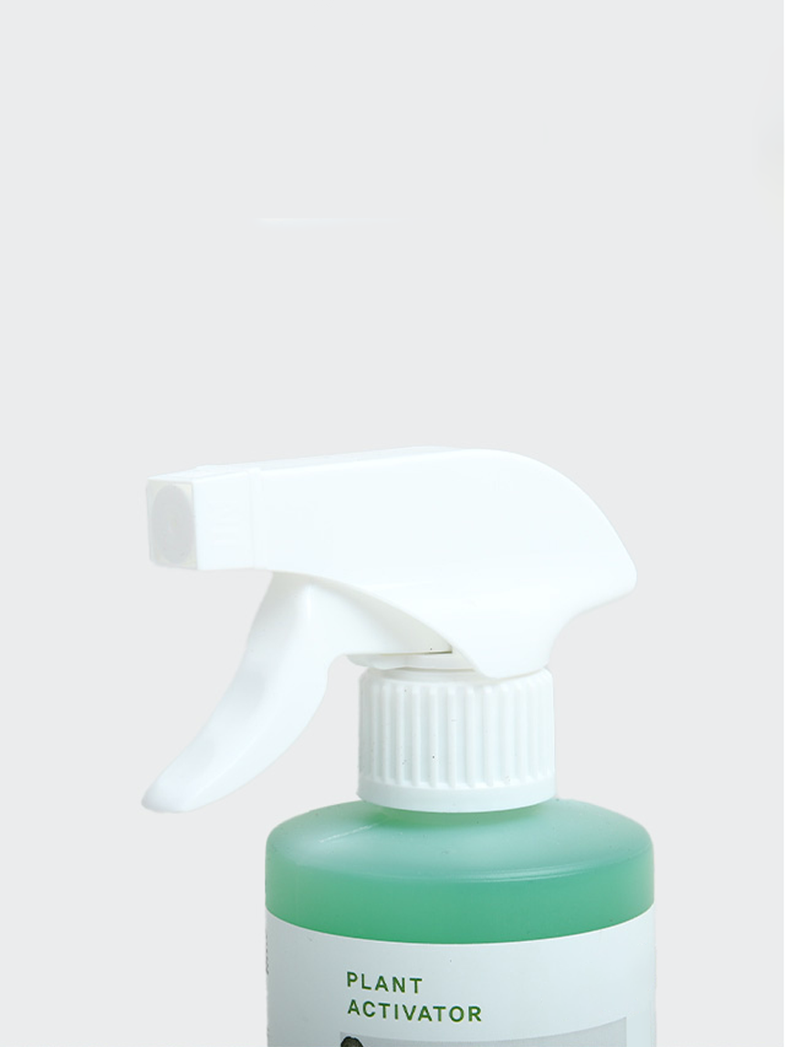 초록스타 식물영양제 500ml