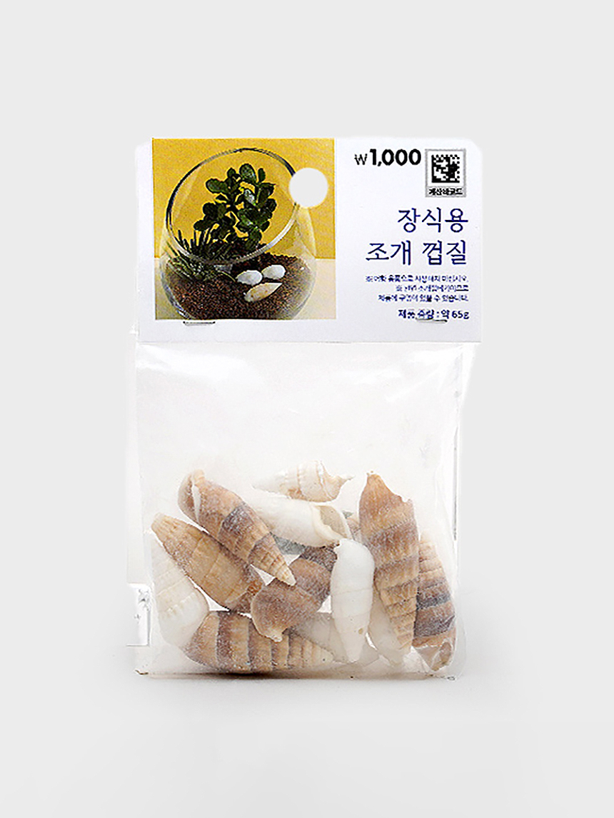 다용도 조개 장식 A