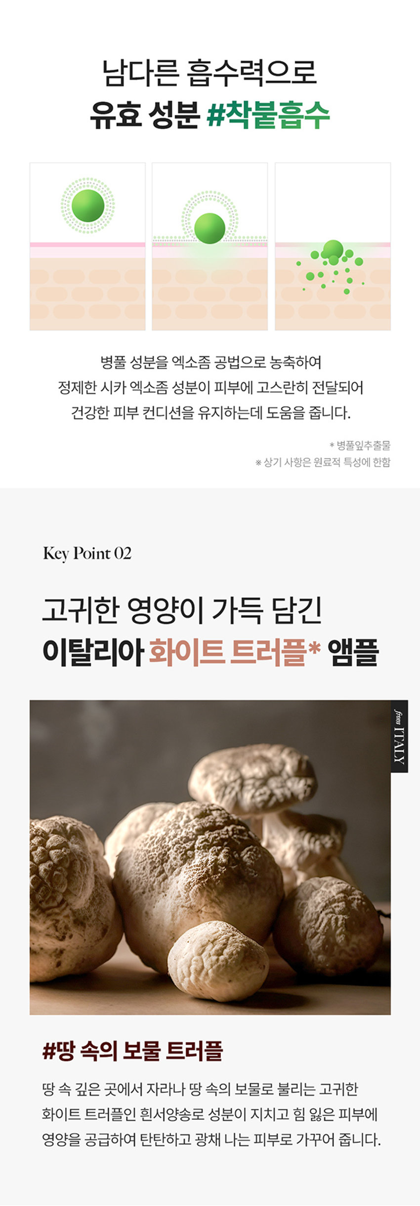 DROP 내 피부 고민에 집중하는 
BE 
by theSREM 한 방울의 힘, 비건 스킨 케어 
DROP 
BE 
DROP 
BE 
DROP DROP 
BE BE 
DROP 
DROP 
BE DROP BE 
갖 
DROP BE Firming &glow Ampoule 
드롭비 
탄탄 광채 앰플 
피부 자극 테스트 완료 미백 & 주름개선 2중 기능성 화장품 
INTERNATIONAL 
BEL 
k 
ABEL COM 
VEGAN 
DROP 
Firming &glow Ampoule 
VEGAN FORMULA 
40ml e1.35fl.oz. 
탄력 잃은 피부에 영양감을 채워 주어 
탄탄하고 윤기나게 해주는 탄력 광채 케어 앰플 
시카 엑소좀*의 이탈리아 쫀쫀 영양 
피부 컨디션 케어 화이트 트러플** 함유 고농축 젤 앰플 
* 병풀잎추출물 ** 흰서양송로추출물 
Key Point01 
드롭비 핵심! 
나노 입자의 시카 엑소좀* 함유 
(특허 :제 10-2265811호) 
민감한 피부를 잠재우는 병풀 성분에 특허받은 
엑소좀 공법으로 유효 성분의 피부 흡수율을 높이고, 
수분 및 영양 공급을 통하여 보습 장벽을 강화하는데 
도움을 주는 천연 나노입자 전달체 입니다.남다른 흡수력으로 
유효 성분 #착붙흡수 
병풀 성분을 엑소좀 공법으로 농축하여 
정제한 시카 엑소좀 성분이 피부에 고스란히 전달되어 
건강한 피부 컨디션을 유지하는데 도움을 줍니다. 
* 병풀잎추출물 
※ 상기 사항은 원료적 특성에 한함 
Key Point 02 
고귀한 영양이 가득 담긴 
이탈리아 화이트 트러플* 앰플 
from 
ITALY 
#땅 속의 보물 트러플 
땅 속 깊은 곳에서 자라나 땅 속의 보물로 불리는 고귀한 
화이트 트러플인 흰서양송로 성분이 지치고 힘 잃은 피부에 
영양을 공급하여 탄탄하고 광채 나는 피부로 가꾸어 줍니다.쫀쫀 영양/은은 광채 
피부 에너지 UP 
#6가지 펩타이드로 
꽉 잡는 피부 
6종 펩타이드 콤플렉스** 
피부 탄력 향상 
6가지 펩타이드 성분이 활력을 잃은 피부에 
에너지를 불어 넣어 주어 
탄탄하고 건강한 피부로 가꾸어 줍니다. 
※ 상기 사항은 원료적 특성에 한함 
* 흰서양송로추출물 
** 아세틸헥사펩타이드-8, 헥사펩타이드-9, 노나펩타이드-1 
팔미토일펜타펩타이드-4, 팔미토일트라이펩타이드-1, 팔미토일테트라펩타이드-7Key Point 03 
쫀/쫀 /촉/촉/ 
보습 고농축 젤 앰플 
쫀쫀한 영양감이 느껴지는 고농축 젤 타입의 앰플로 
깊은 보습감과 은은한 광채를 선사해 줍니다. 
건강한 지구를 위한 노력, 
드롭비는 지속 가능한 
클린 뷰티를 실천합니다 
이탈리아 브이라벨 비건 인증 
동물성 원료는 배제하고, 동물 실험을 거치지 않은 
착하고 순한 비건 원료만을 사용하여 제조하였습니다. 
환경을 생각하는 친환경 패키지 
지속 가능한 산림 경영과 보호를 위한 
FSCⓇ 인증 종이 패키지와 친환경 
소이 잉크를 사용하였습니다.How To Use 
적당량을 덜어 피부 결을 따라 
부드럽게 펴 발라 흡수시켜 줍니다. 
DROP 
BE 
Firming &glow Ampoule 
VEGANFORMULA 
40ml ⌀1.35 fl oz. 
Recommend 
힘 잃고 축 처진 피부가 고민이신 분 
안티에이징 케어가 필요하신 분 
건강하고 빛나는 피부를 원하시는 분 
날마다 변하는 
피부고민에 맞게 골라쓰는 
맞춤 앰플 레이어링 Vip 
수분 탄력 수분 피부 결 
DROP DROP DROP DROP 
BE -BE BE BE 
건조하고 힘 잃은 피부 수부지 피부 
미나리 앰플 + 트러플 앰플 미나리 앰플 + 사과식초 앰플 
모공 피부 결 생기 수분 
DROP DROP DROP 
BE BE BE 
D⌀E I 
모공 & 결이 고민인 피부 푸석하고 칙칙한 피부 
오디 앰플 + 사과식초 앰플 유자비타 앰플 + 미나리 앰플 
함께 쓰면 더 좋은 
드롭비 스킨 케어라인 
JV⌀P 
STEP.1 STEP. 2 STEP.3 
DROP 
DROP 
⌀BE 
DROP 
BE 
- DR DROPE 
수분길 오픈! 피부 고민 집중 케어! 보습 잠금! 
스타팅 진정 토너 맞춤 솔루션 앰플 워터풀 장벽 크림본 상품 정보(상품 상세, 상품 설명등)의 내용은 협력사가 직접 등록한 것 입니다. 
상품정보 제공고시 
제품명 드롭비 탄탄광채 앰플 
용량 40ml 
제품 주요 사양 모든피부용 
사용 기한 개봉전 36개월 / 개봉 후 12개월 
기능성 여부 미백, 주름개선 2중 기능성 화장품 
화장품제조업자 및 주식회사 씨엔에프 / (주)더샘인터내셔날 
화장품 책임판매업자 
제조국 대한민국 
사용할 때의 주의사항 가. 화장품 사용 시 또는 사용 후 직사광선에 의하여 사용부위가 붉은 반점, 부어오름 
또는 가려움증 등의 이상 증상이나 부작용이 있는 경우에는 전문의 등과 상담할 것 
나. 상처가 있는 부위 등에는 사용을 자제할 것 
다. 보관 및 취급 시 주의사항 
1) 어린이의 손이 닿지 않는 곳에 보관할 것 
2) 직사광선을 피해서 보관할 것 
품질보증기준 본 상품에 이상이 있을 경우 공정거래위원회고시 소비자분쟁해결기준에 의하여 
보상해 드립니다. 
소비자상담 전화번호 더샘 제품 고객센터 080-080-7500 
전성분 정제수, 글리세린, 프로판다이올, 부틸렌글라이콜, 베타인, 아이소펜틸다이올, 
나이아신아마이드, 1,2-헥산다이올, 흰서양송 로추출물, 병풀잎추출물, 
아세틸헥사펩타이드-8, 헥사펩타이드-9, 노나펩타이드-1, 팔미토일펜타펩타이드-4, 
팔미토일트라이펩타이드-1, 팔미토일테트라펩타이드-7석류추출물, 아데노신, 
시어버터, 카프릴릭/카프릭트라이글리세라이드, 올리브오일, 하이드로제네이티드레시틴, 
스쿠알란, 다이소듐이디티에이, 판테놀, 향료, 폴리글리세릴-10라우레이트, 카보머, 
하이드록시아틸아크릴레이트,소듐이크릴로일피디이에틸라우레이트코폴리머, 알지닌, 
다이에톡시에틸석시네이트, 에틸헥실글리세린, 잔탄검, 솔비탄아이소스테아레이트, 
세라마이드엔피, 콜레스테롤, 피토스핑고신