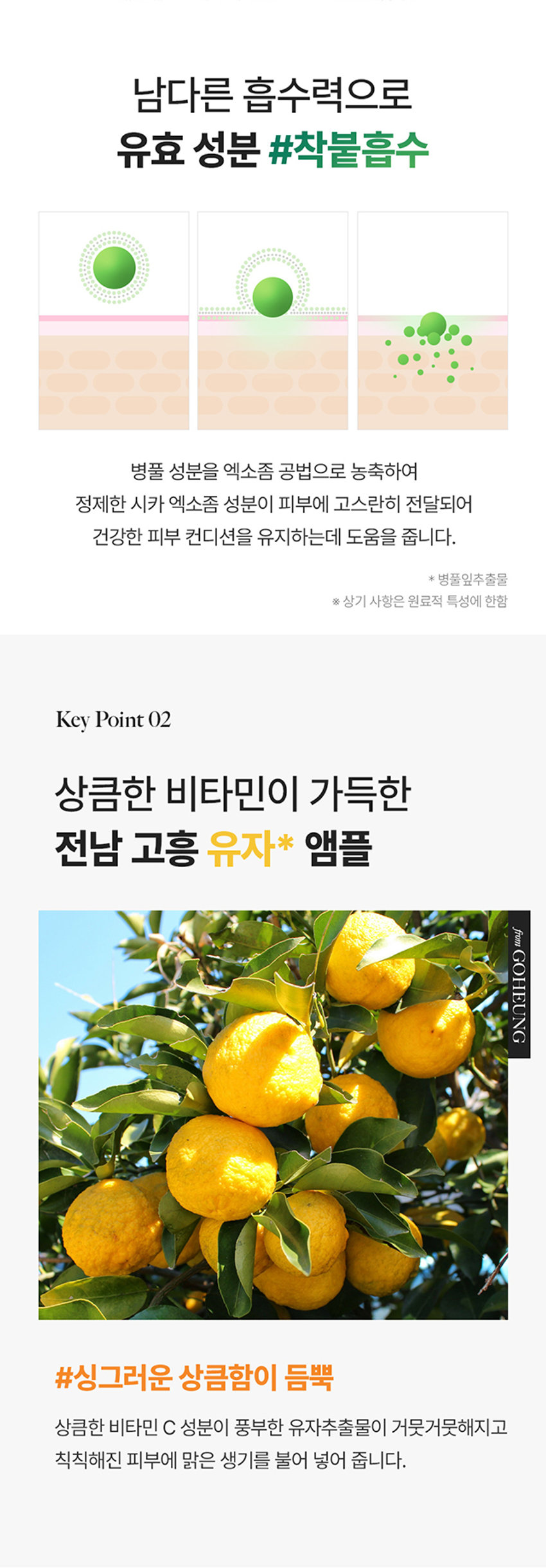 드롭비 잡티 말끔 앰플 용량 40ml 제품 주요 사양 모든 피부용 사용 기한 개봉전 36개월 / 개봉 후 12개월 기능성 여부 미백, 주름개선 2중 기능성 화장품 화장품제조업자 및 주식회사 씨엔에프 /(주)더샘인터내셔날 화장품 책임판매업자 제조국 대한민국 사용할 때의 주의사항 가. 화장품 사용 시 또는 사용 후 직사광선에 의하여 사용부위가 붉은 반점, 부어오름 또는 가려움증 등의 이상 증상이나 부작용이 있는 경우에는 전문의 등과 상담할 것 나. 상처가 있는 부위 등에는 사용을 자제할 것 다. 보관 및 취급 시 주의사항 1) 어린이의 손이 닿지 않는 곳에 보관할 것 2) 직사광선을 피해서 보관할 것 품질보증기준 본 상품에 이상이 있을 경우 공정거래위원회 고시 소비자분쟁해결기준에 의하여 보상해 드립니다. 소비자상담 전화번호 더샘 제품 고객센터 080-080-7500 전성분 정제수, 부틸렌글라이콜, 다이프로필렌글라이콜, 글리세린, 메틸글루세스-20, 나이아신아마이드, 1,2-헥산다이올, 유자추출물, 소듐아스코빌포스페이트, 아스코빅애씨드, 바이오틴, 사이아노코발아민, 폴릭애씨드, 피리독신, 리보플라빈, 티아민에이치씨엘, 병풀잎추출물, 판테놀, 아데노신, 폴리글리세릴-10라우레이트, 암모늄아크릴로일다이메틸타우레 이트/브이피코폴리머, 카보머, 알지닌, 에틸헥실글리세린, 향료, 다이소듐이디티에이, 인도멀구슬나무꽃추출물, 홀리바질잎추출물, 인도멀구슬나무잎추출물, 울금뿌리추출물, 참산호말추출물