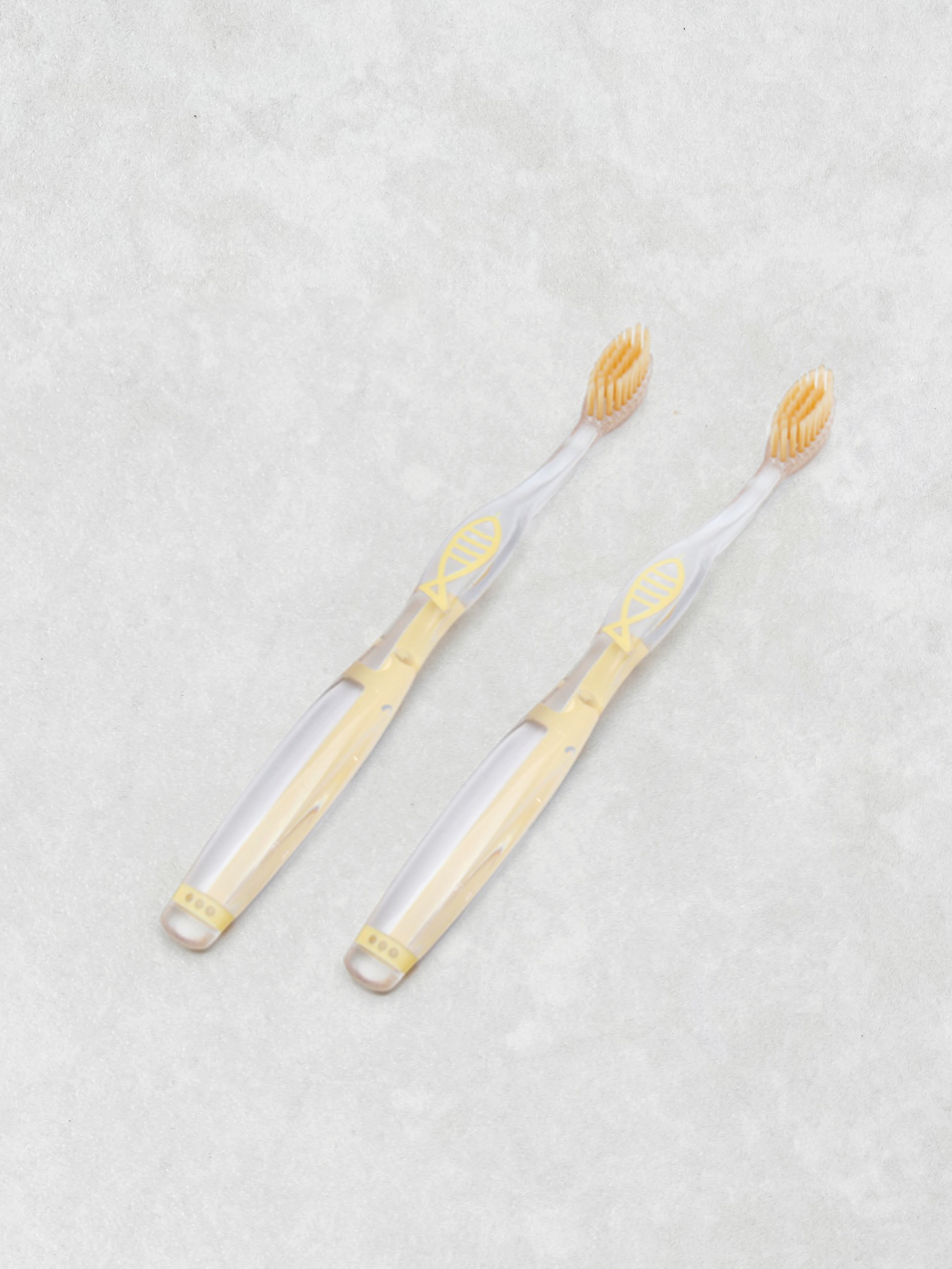 약한 잇몸 전용 기능모 2P