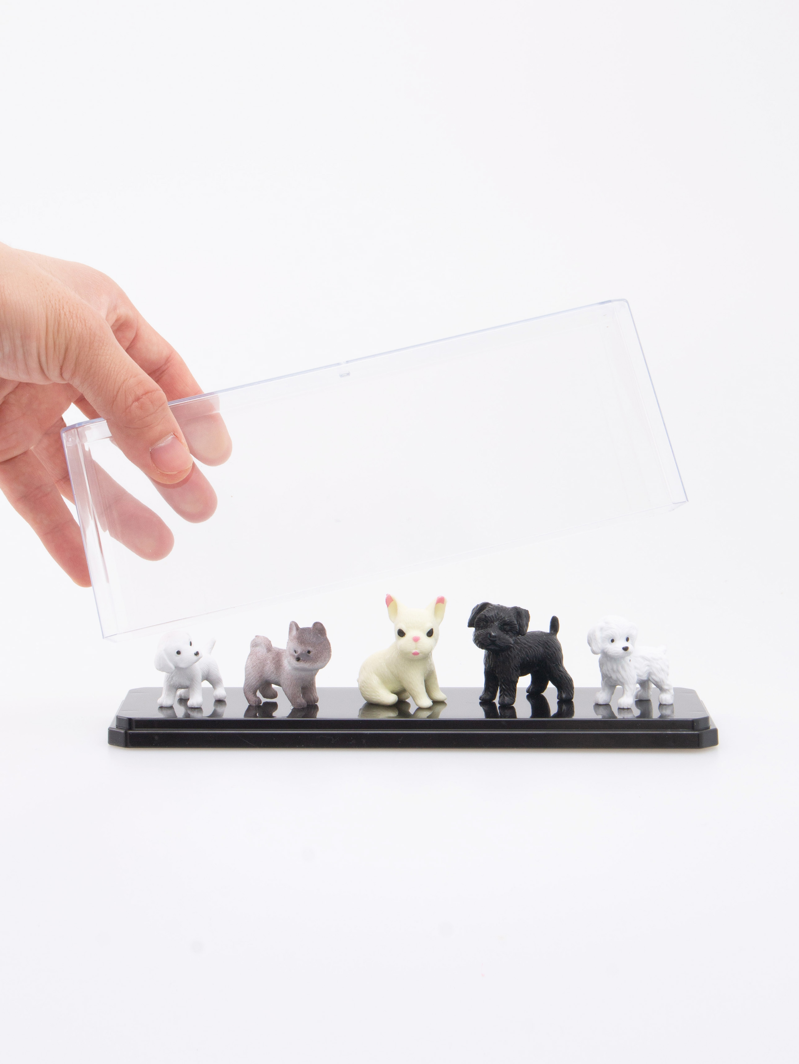 피규어 케이스 21 X 7 X 8 cm 블랙