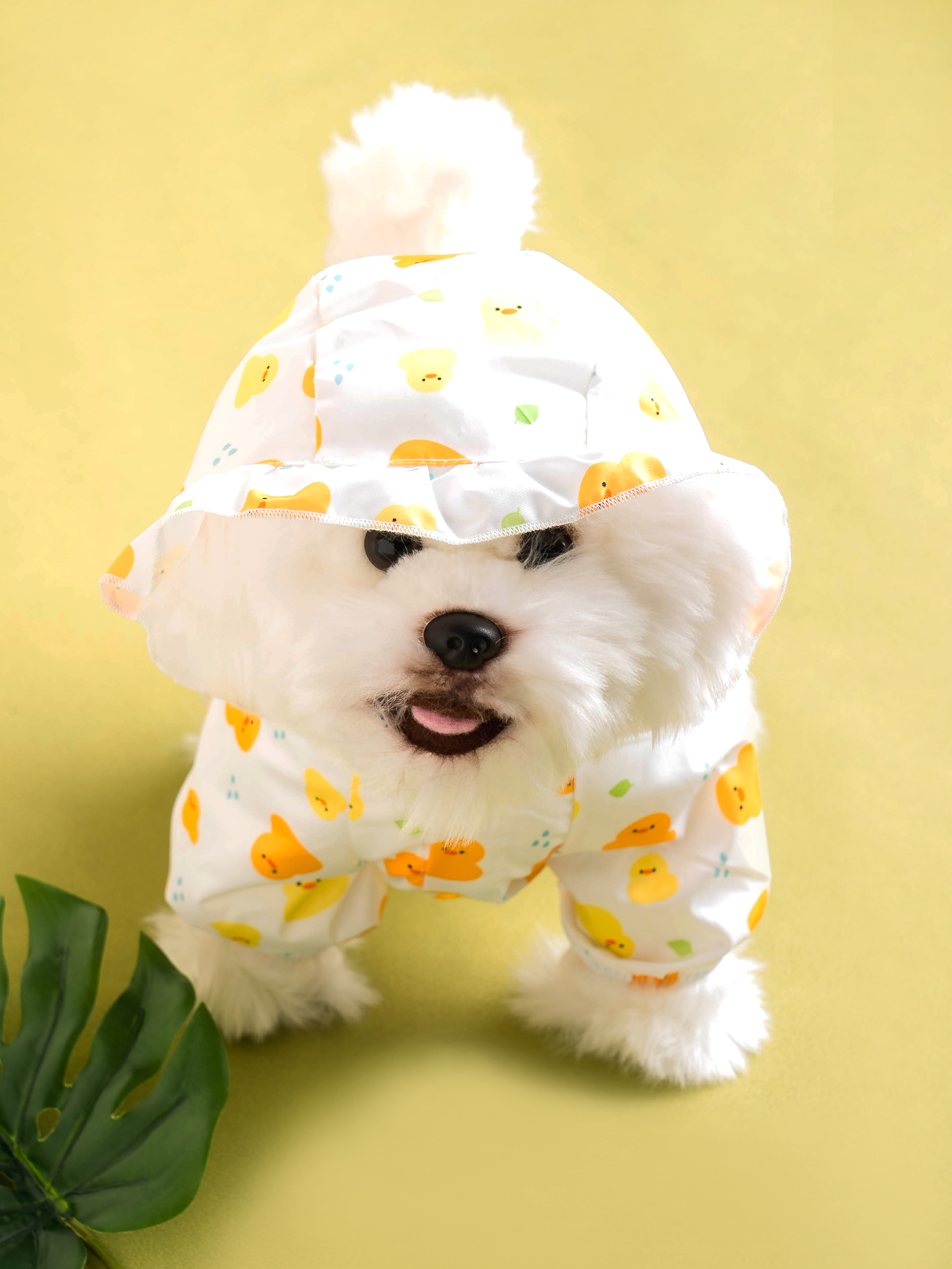 [펫] 올인원 우비 M