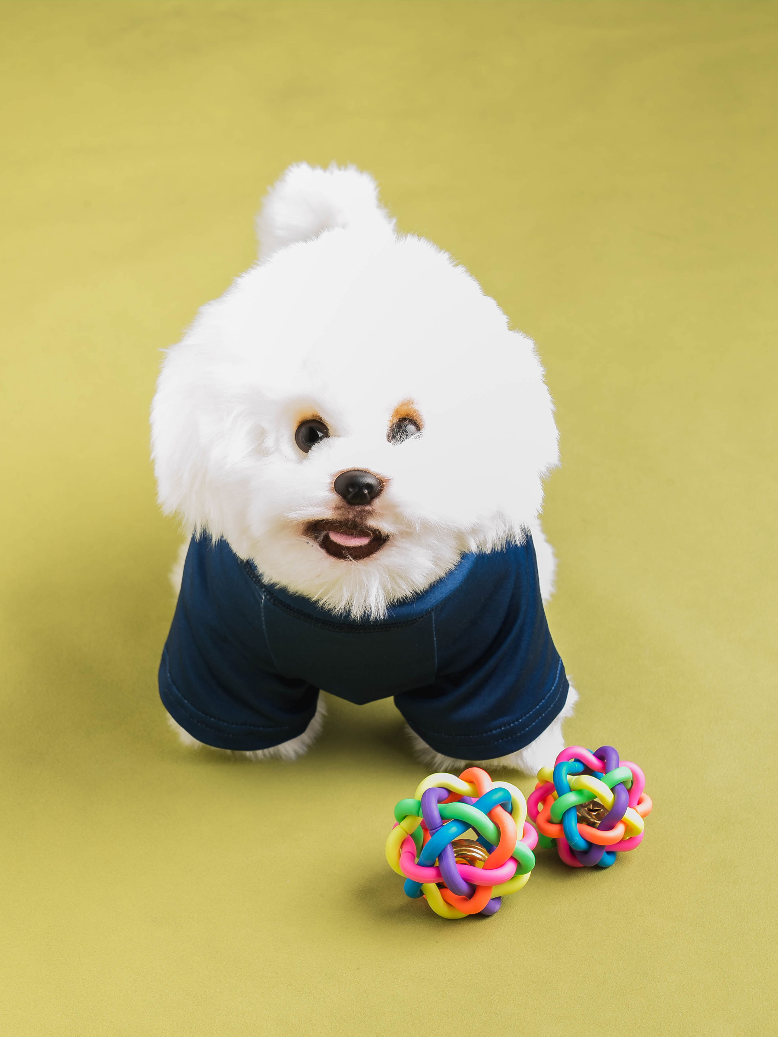 [Pet] Футболка Кемпинг M