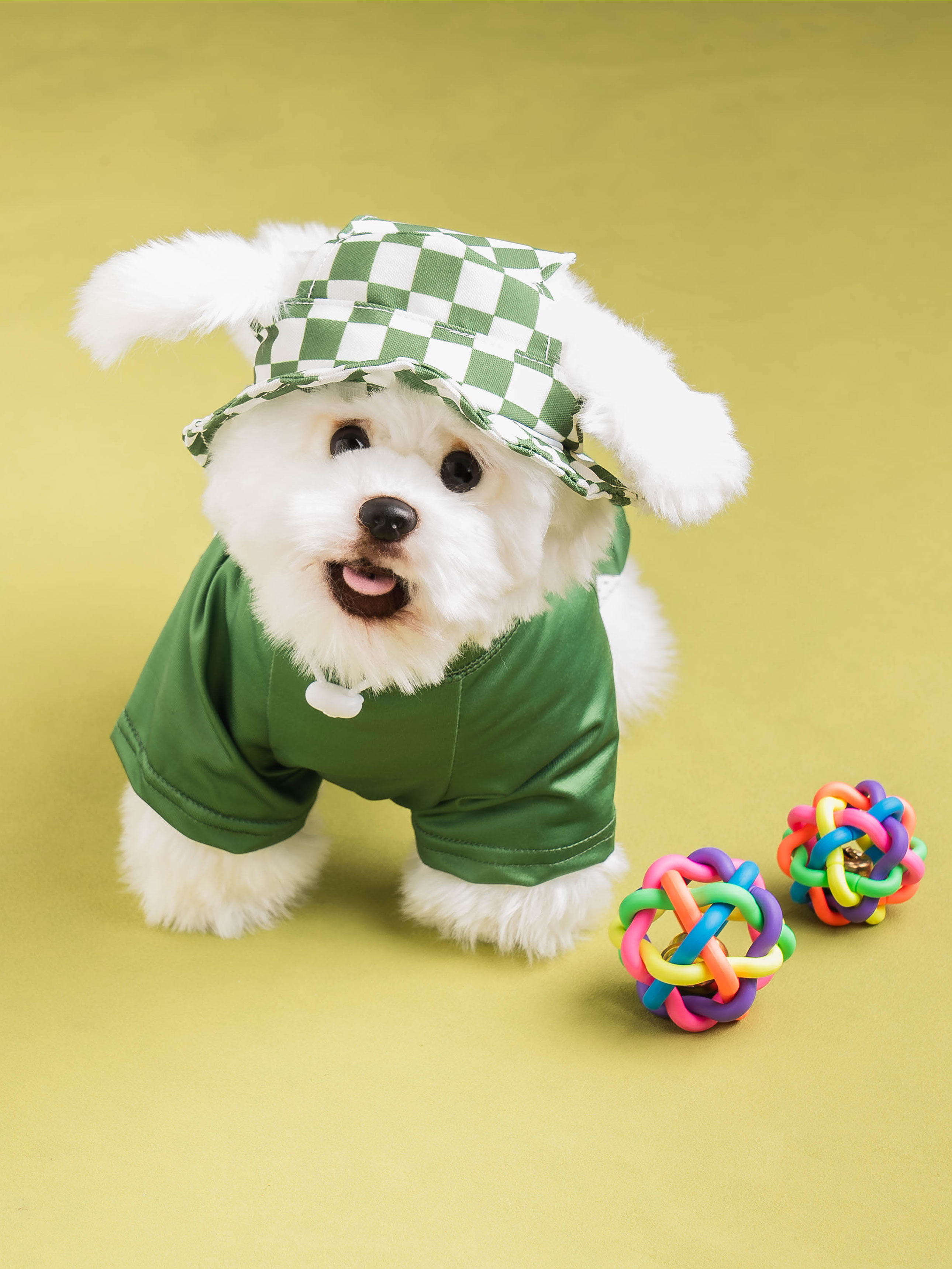 [Pet] Футболка Кемпинг M