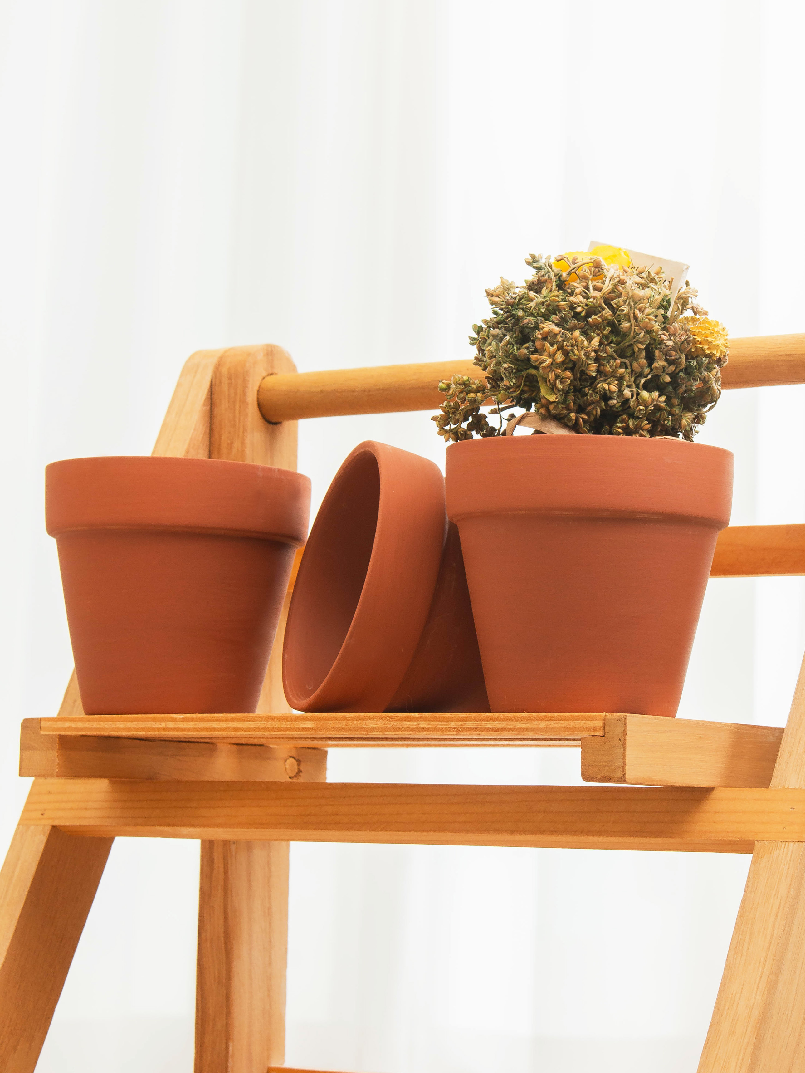 테라코타 화분 8 cm 3개입