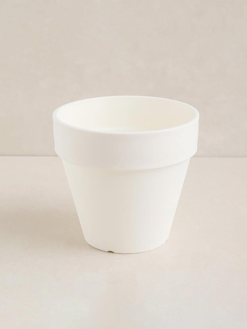 테라 화분 1호