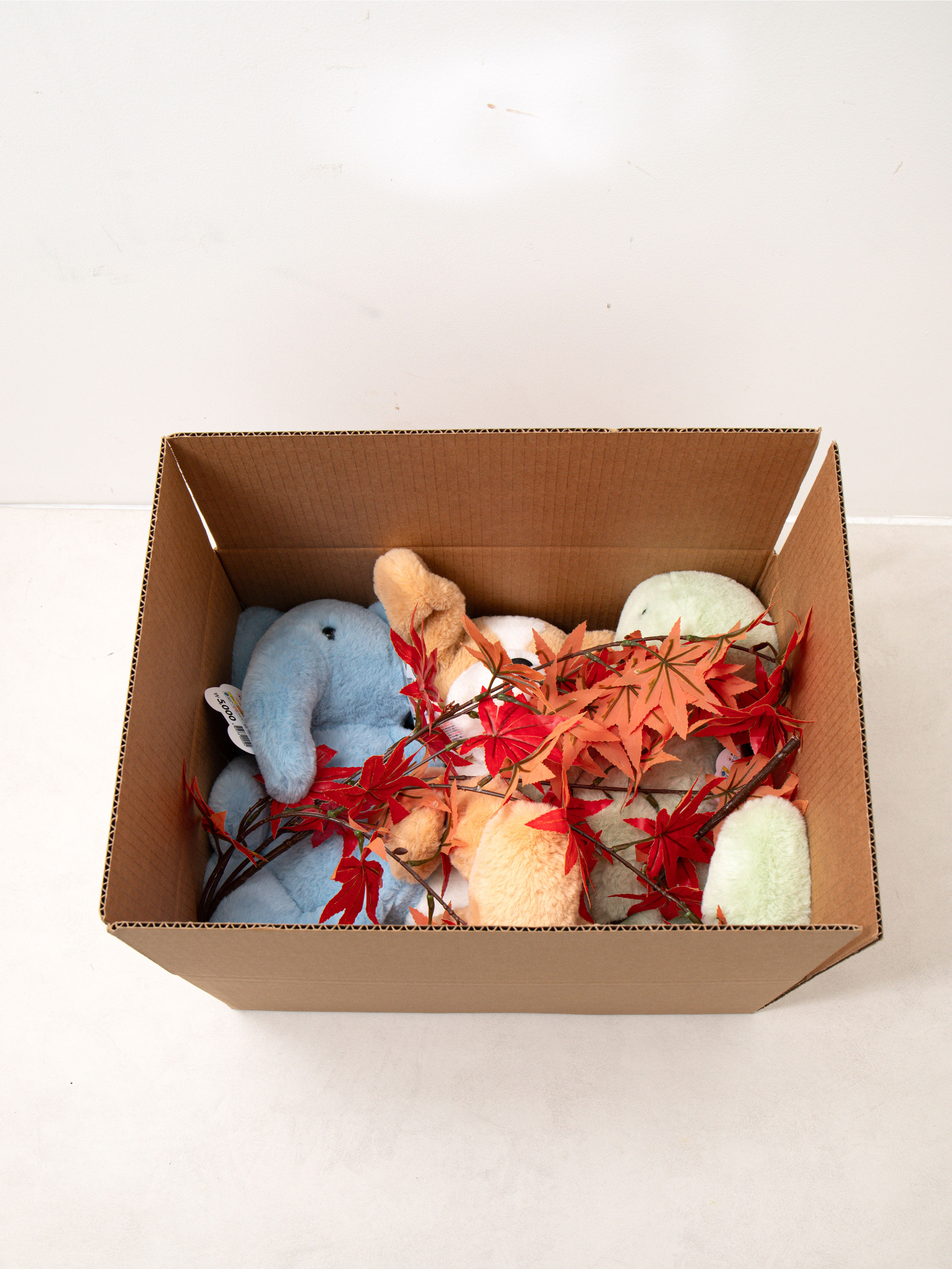 다용도 박스 36 X 27 X 15 cm 1매입