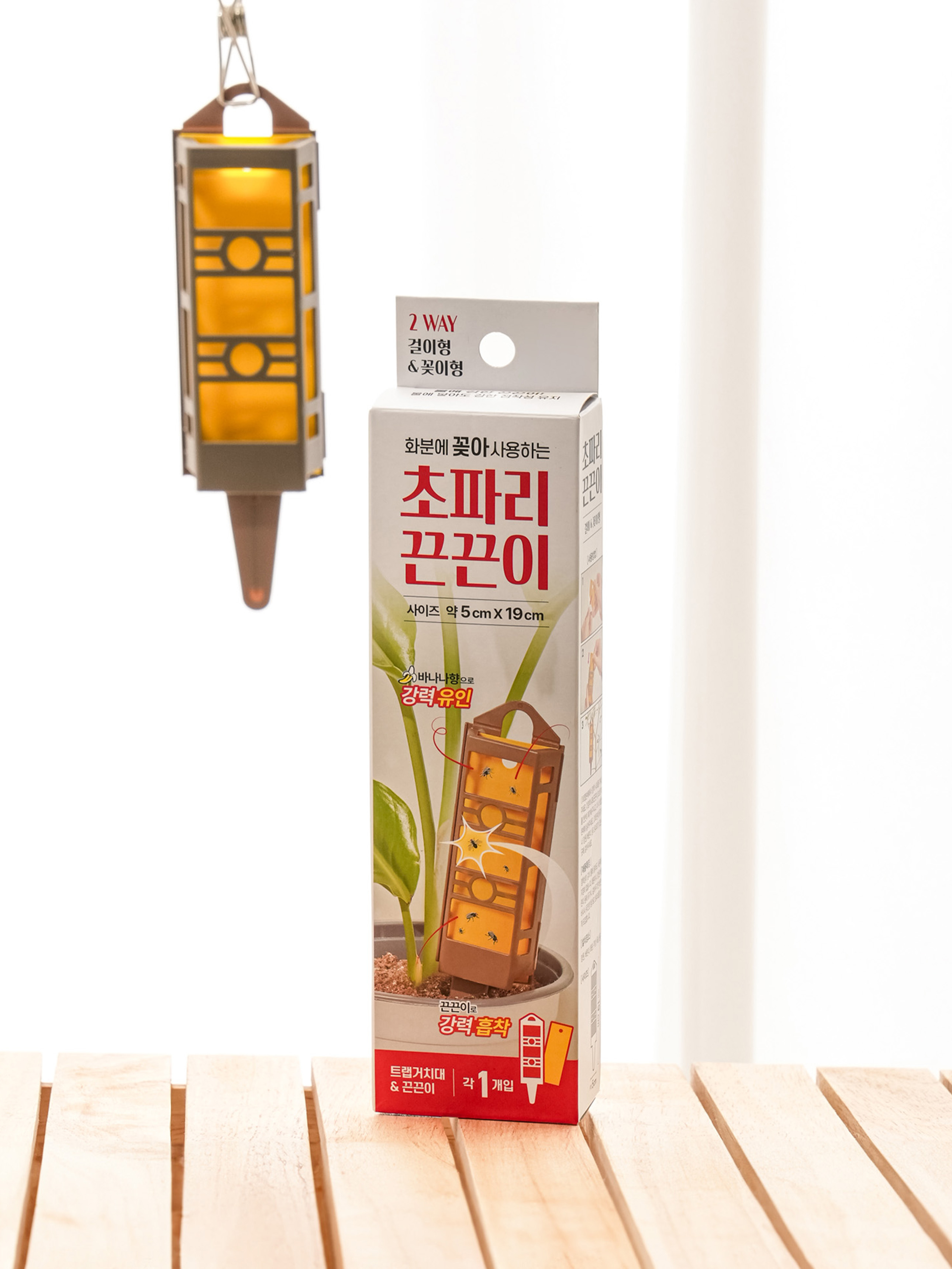 식물 전용 꽂이형 끈끈이 세트
