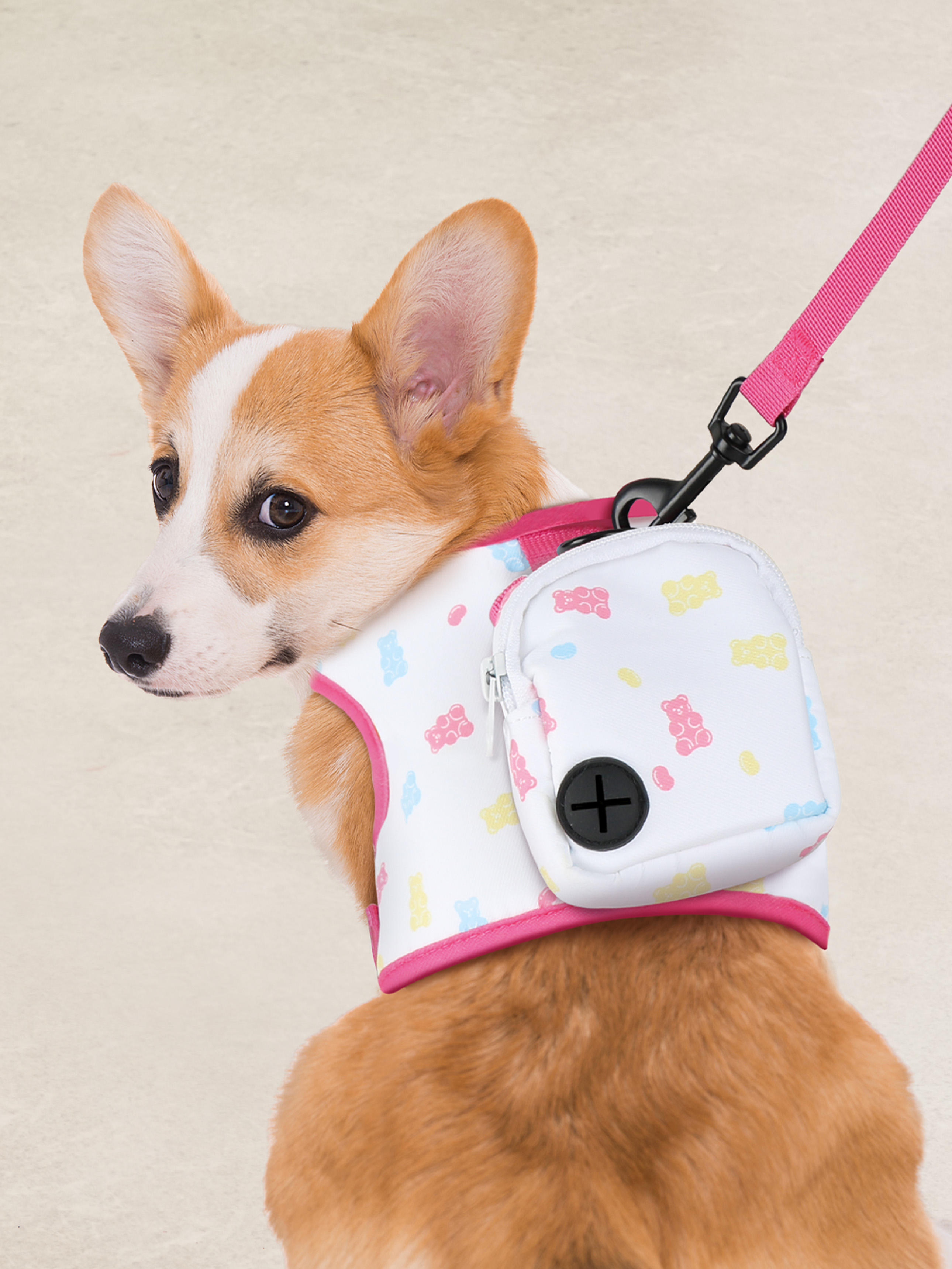 [Pet] Набор шлейка с рюкзаком L