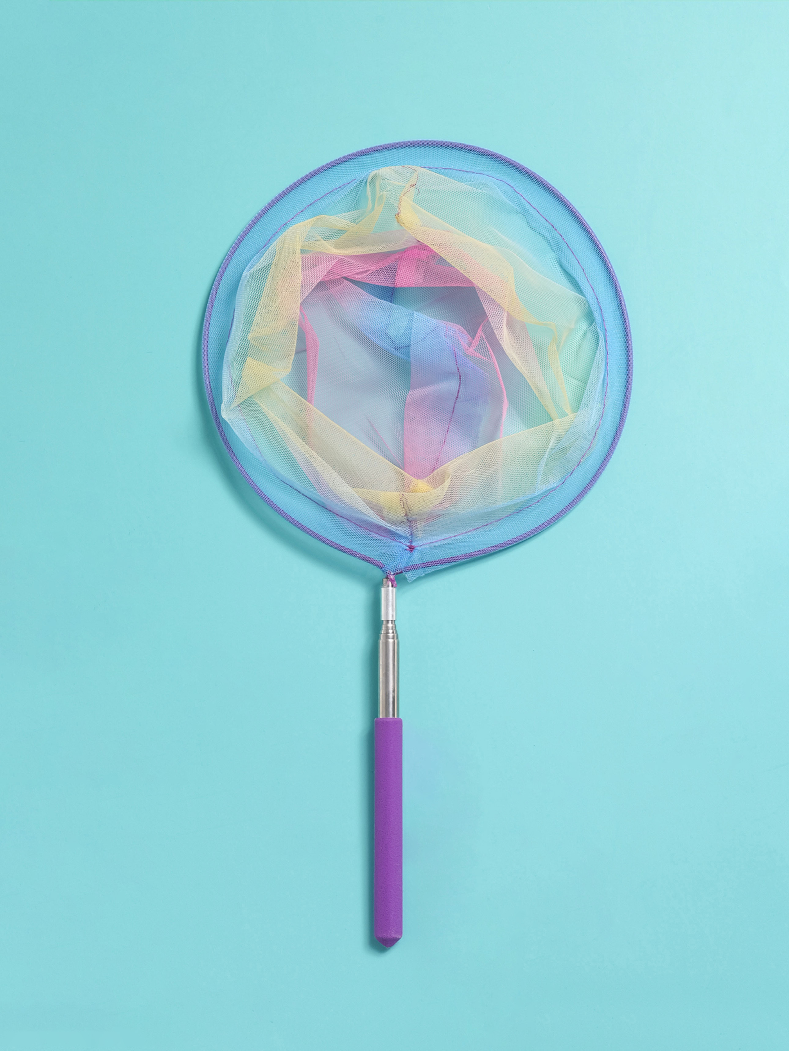 컬러 신축 채집망