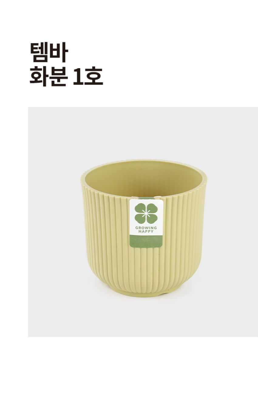 템바 화분 1호