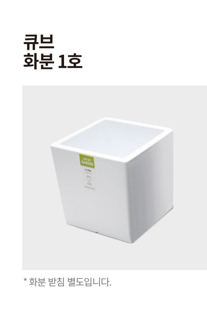 큐브 화분 1호