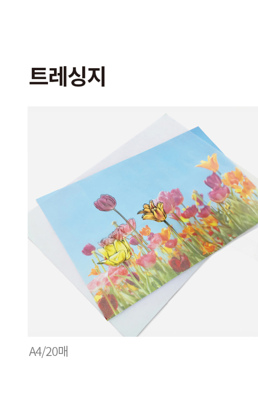 트레싱지 A4 20매입