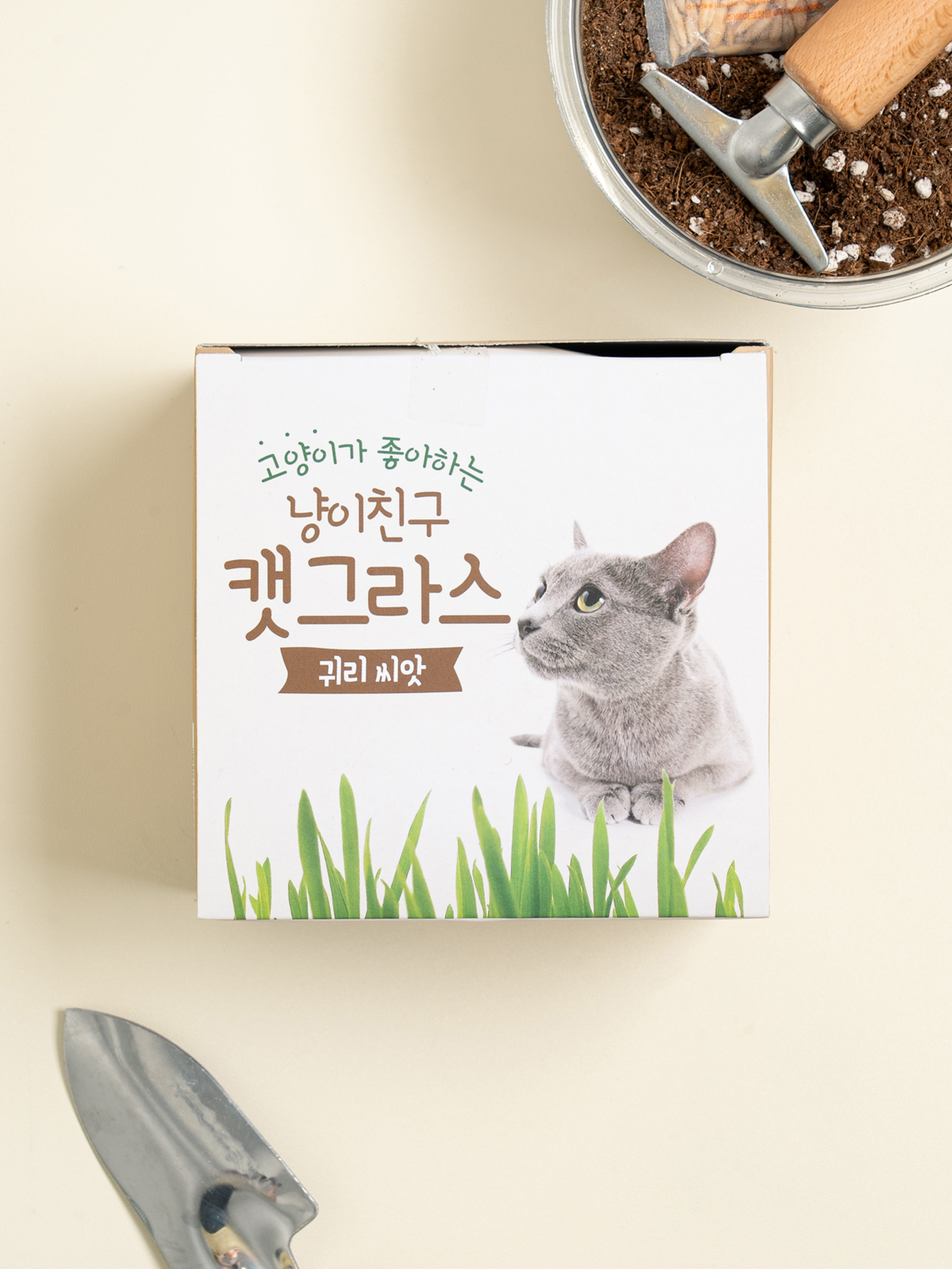 [펫] COOM 냥이친구 캣그라스 씨앗 (귀리)