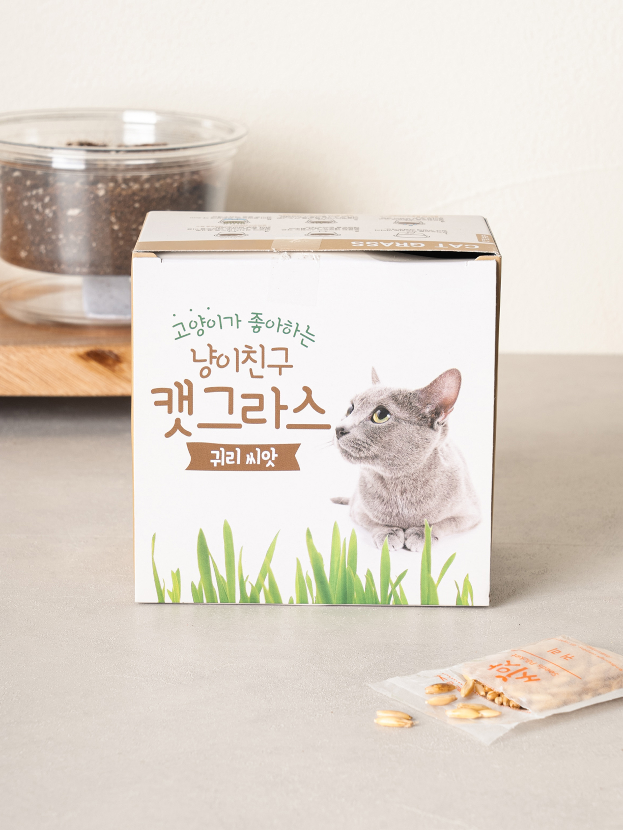 [펫] COOM 냥이친구 캣그라스 씨앗 (귀리)