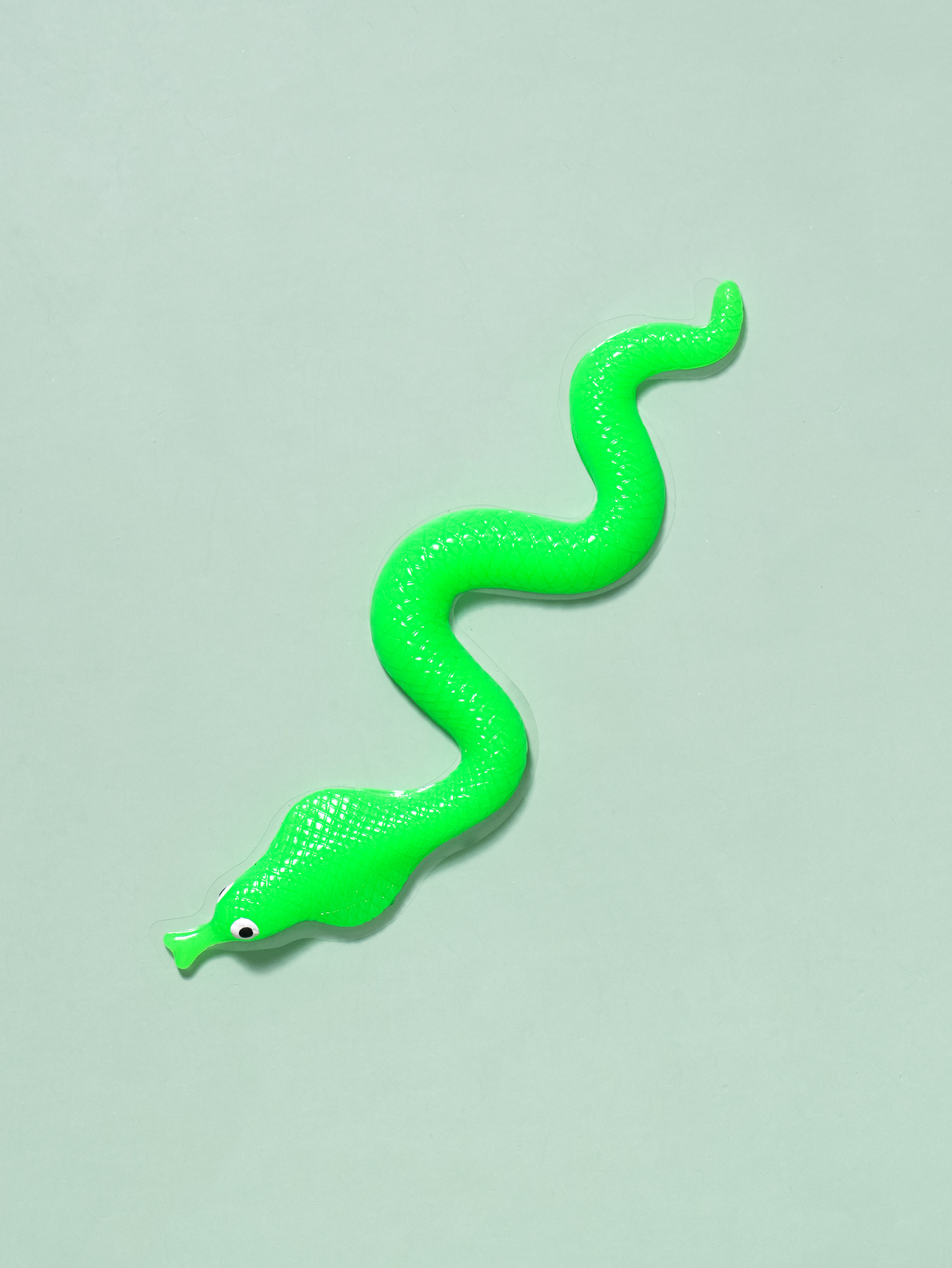 끈끈이 놀이 코브라