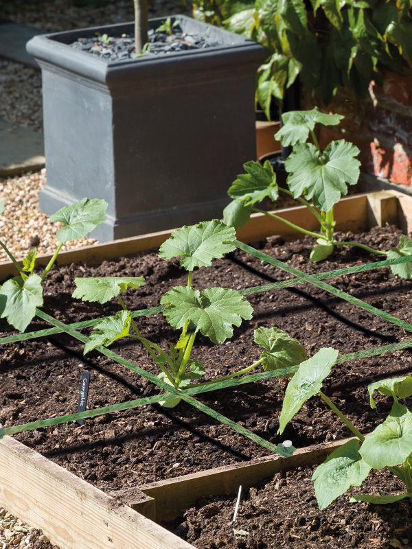 원예용 녹색 마끈 1.5mmx100m