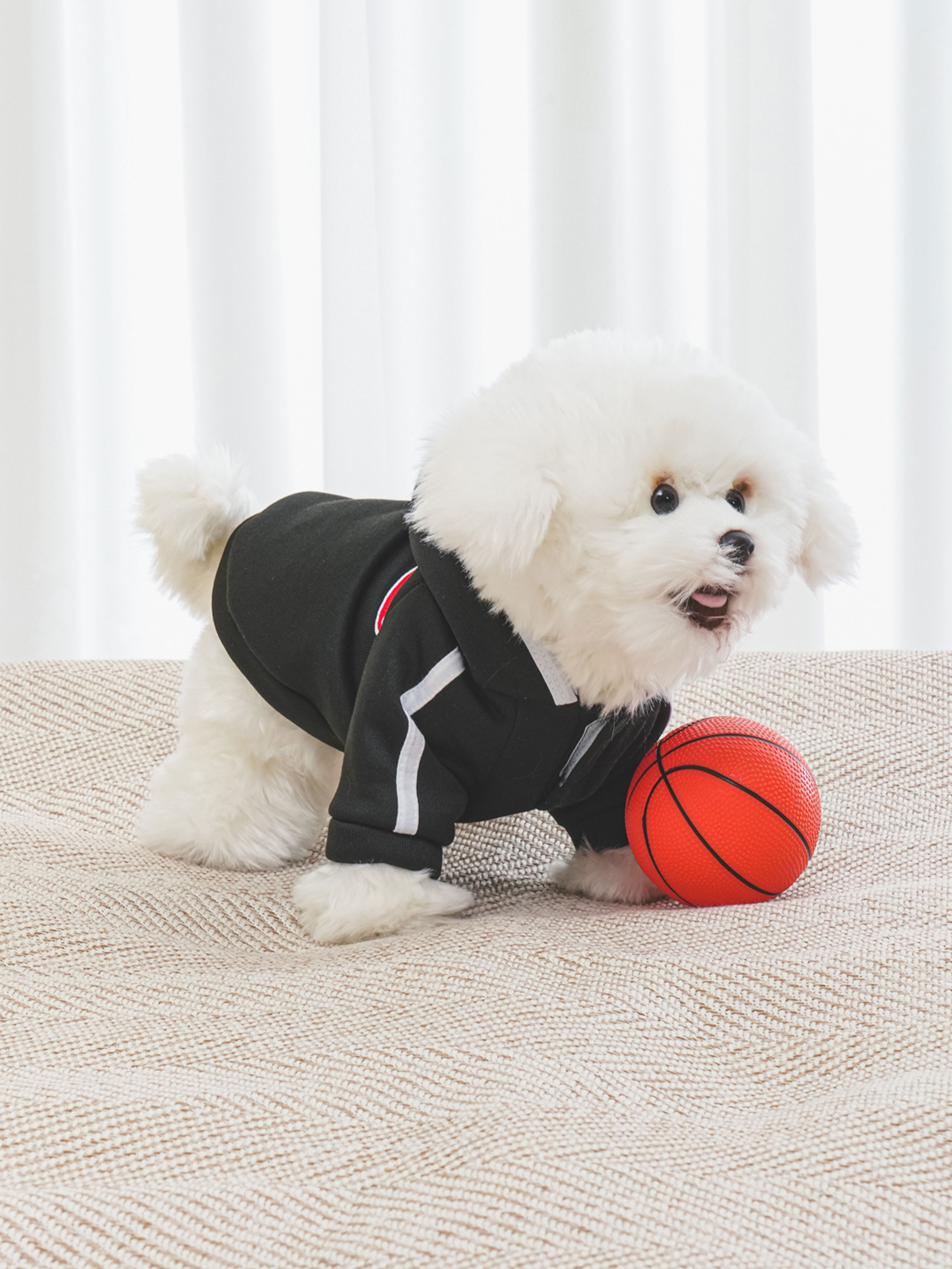 [펫] 후드 트레이닝복 M 블랙