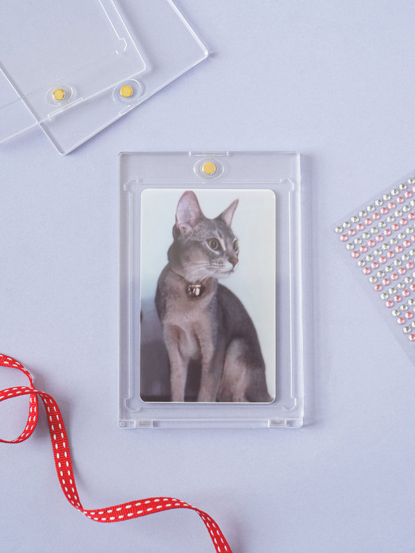 폴꾸 마그넷 케이스 탑로더