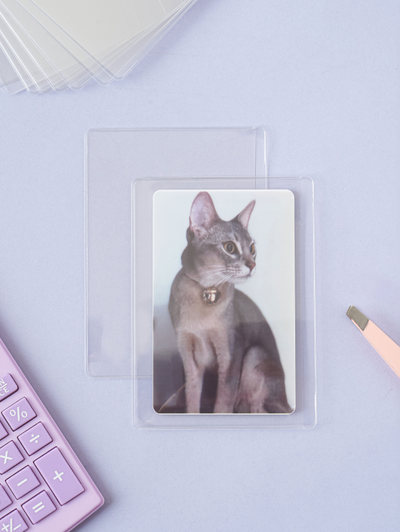 폴꾸 옆면 수납 사이드 로더 10개입