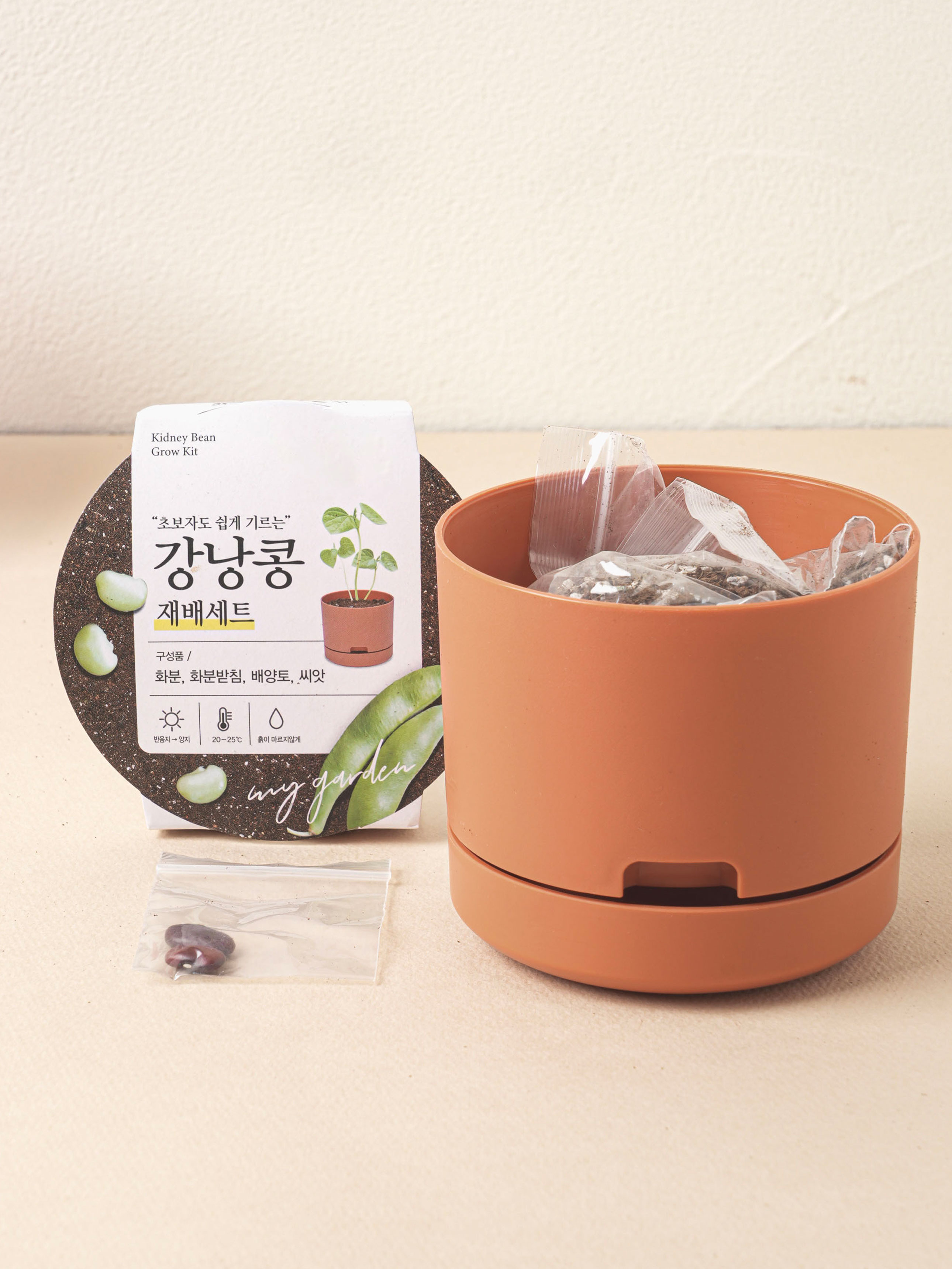 COOM 팜팜가든 (강낭콩)