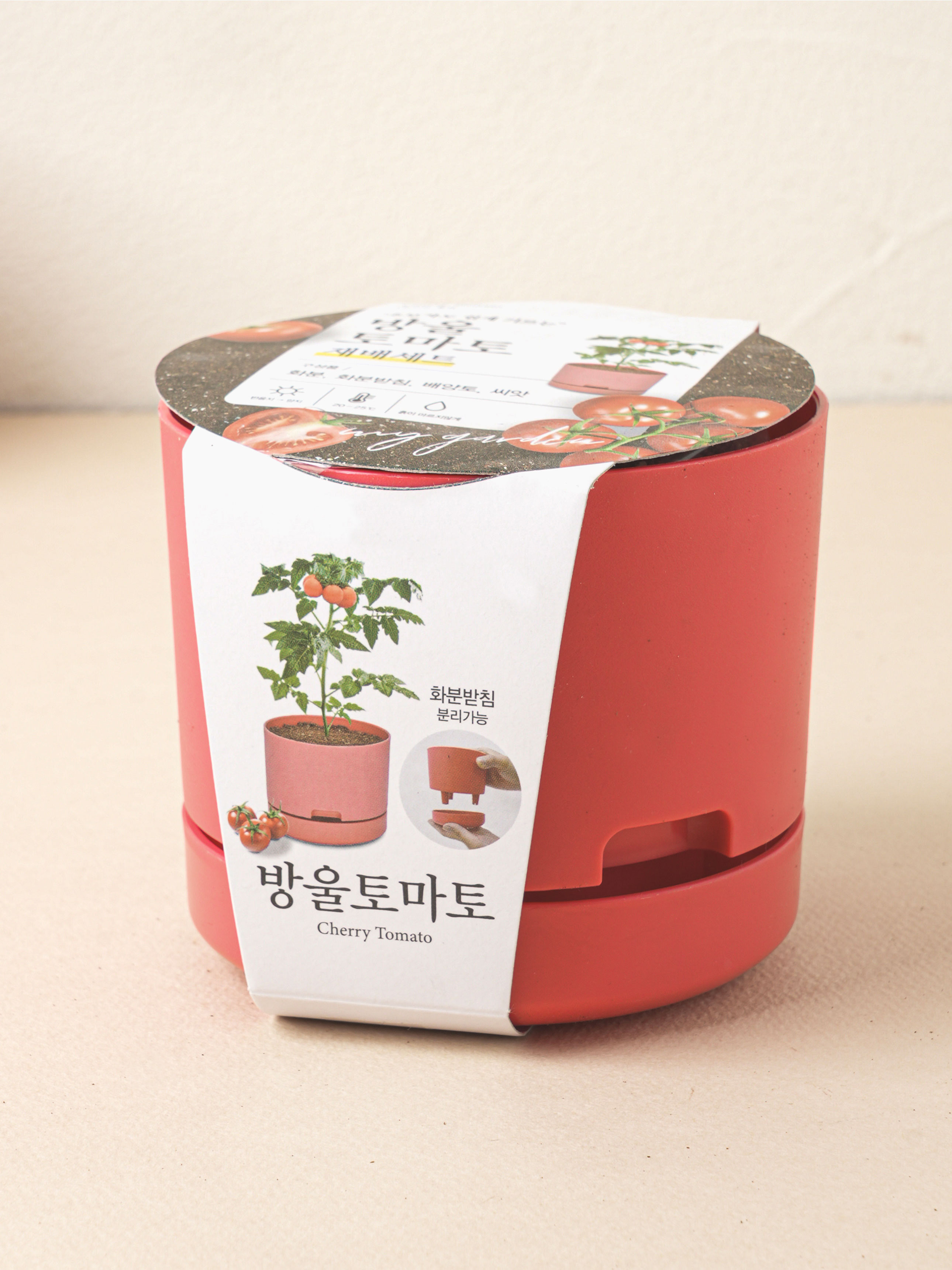 COOM 팜팜가든 방울토마토 재배 키트