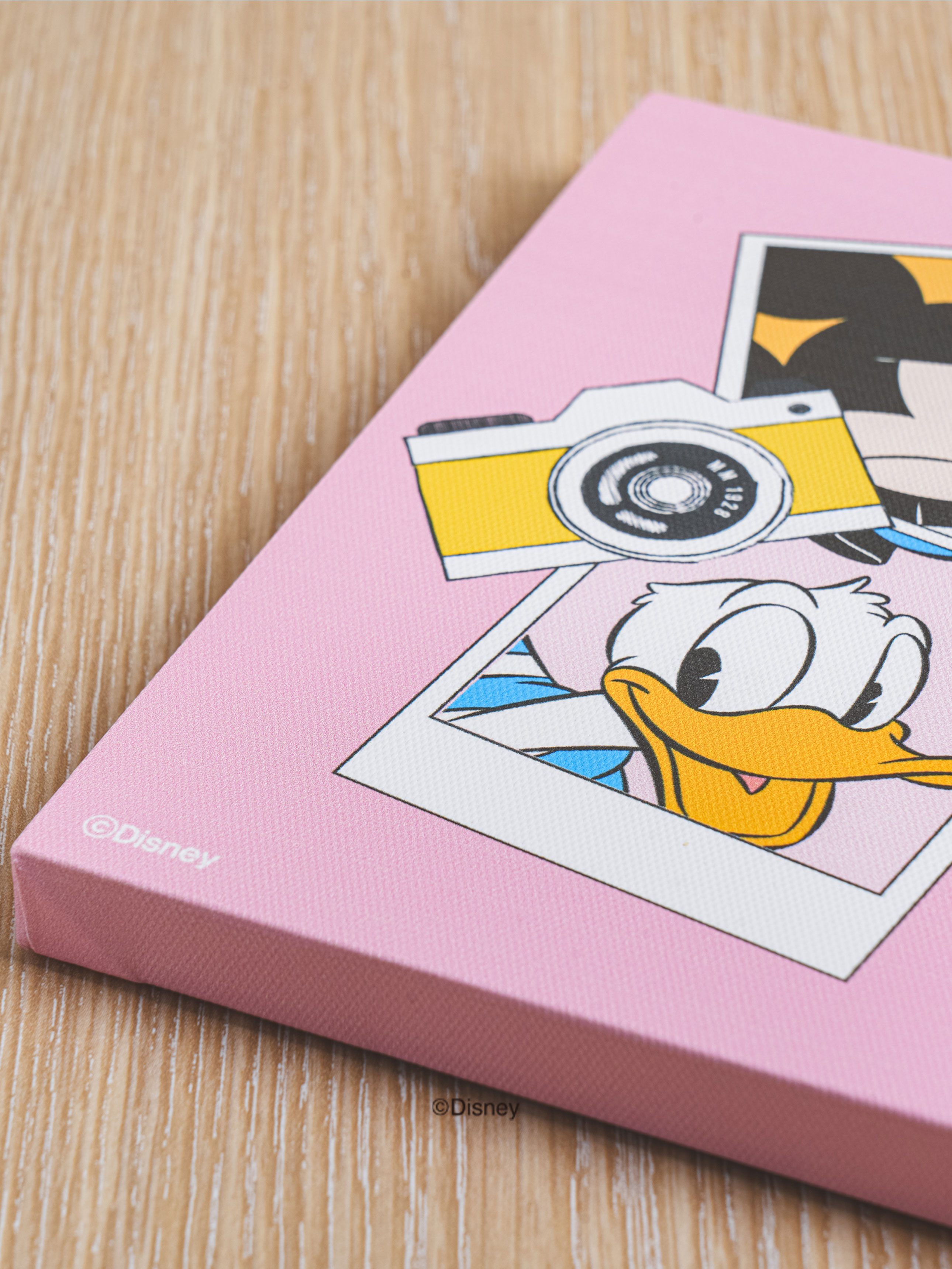 Картина на холсте Disney Mickey & Friends 30x20 см