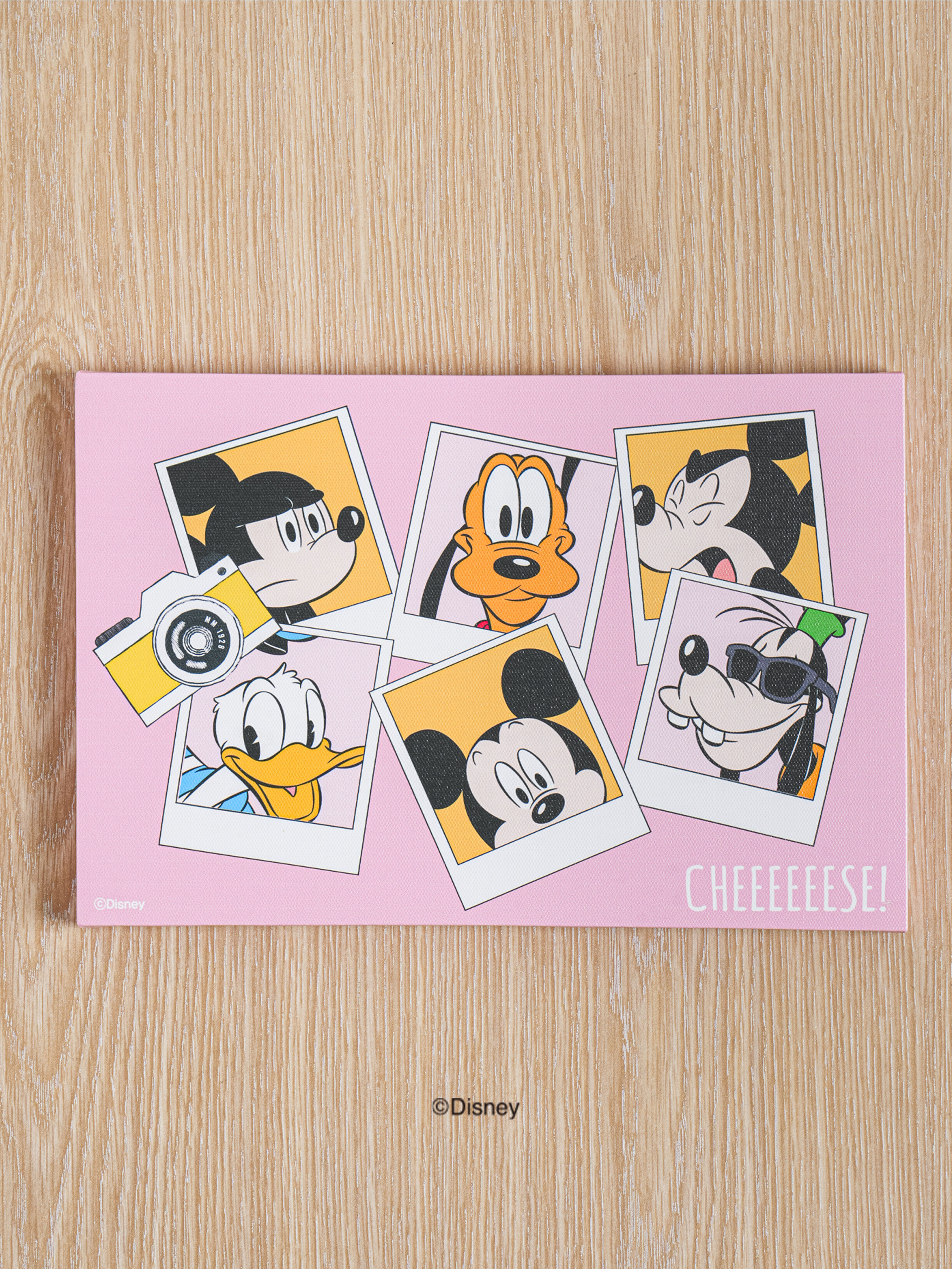 Картина на холсте Disney Mickey & Friends 30x20 см