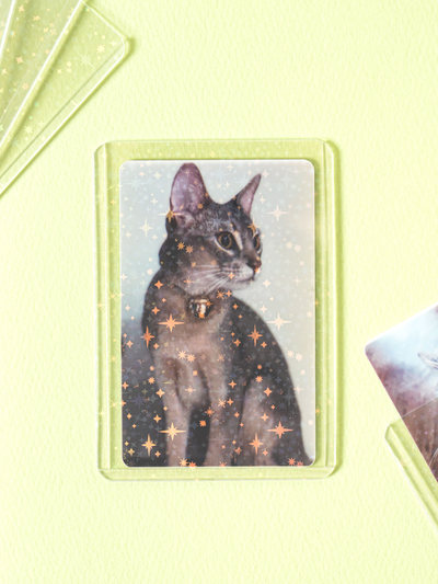 폴꾸 홀로그램 미니 탑로더 5개입