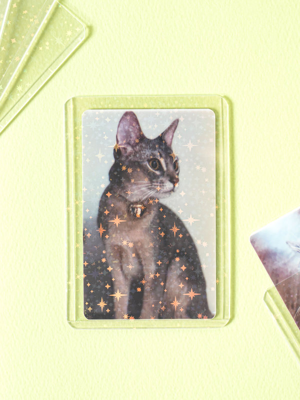 폴꾸 홀로그램 미니 탑로더 5개입