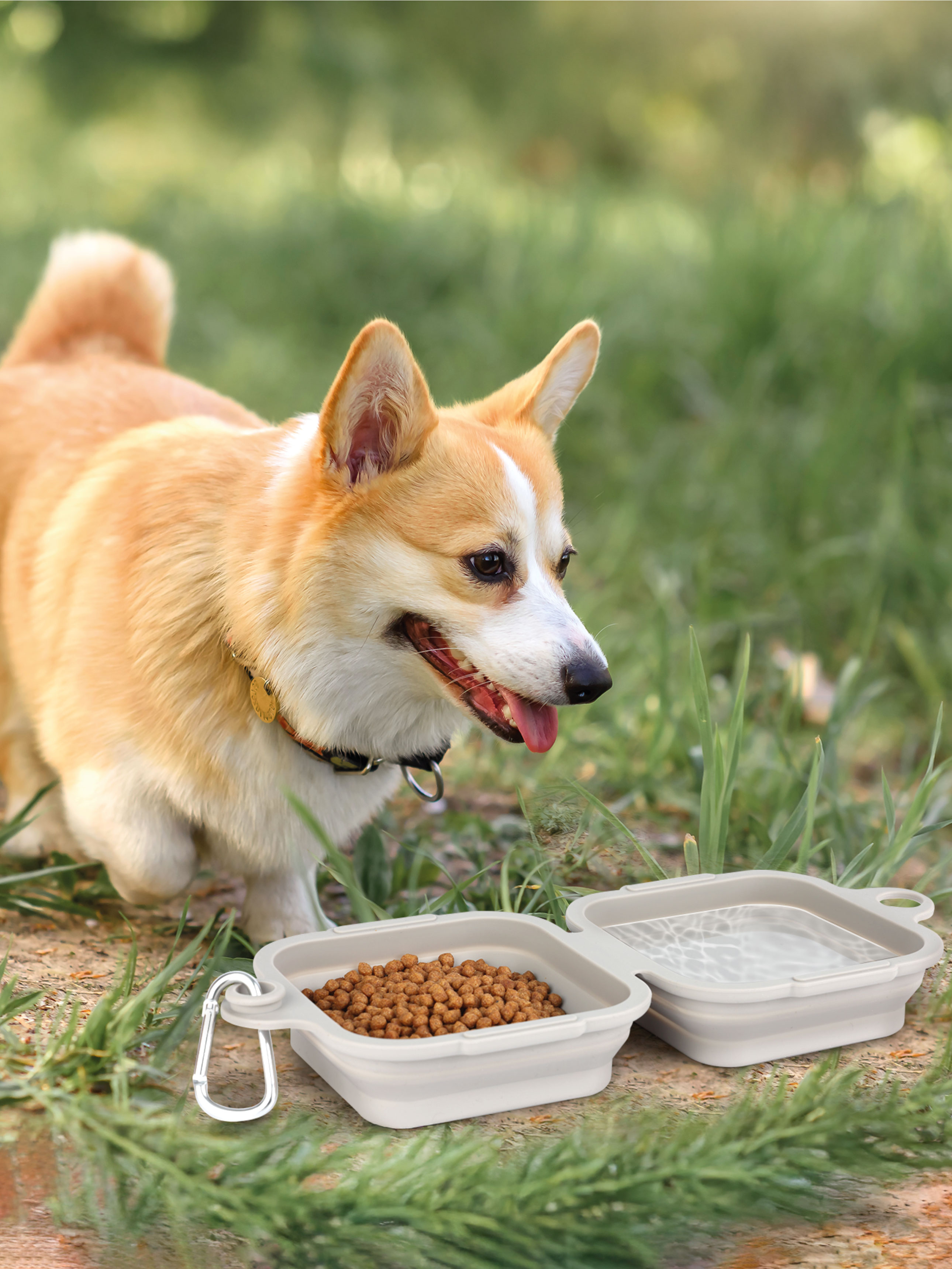 [Pet] Портативная складная двойная миска