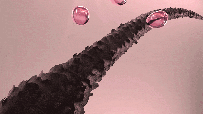 Barbie X KUNDALⓇ 콜라겐 데미지 케어 샴푸 for Silky &Shiny Hair Barbie x KUNDAL 콜라겐 데미지 케어 샴푸 for Silky &Shiny Hair 콜라겐 데미지 케어 샴푸 Barbie X KUNDALⓇ Chery Blossom 콜라겐 데미지 케어 트리트먼트 Barbie 콜라겐 데미지 케어 헤어미스트 to Silky & Shiny Hair 체리블라썸 콜라겐 데미지 케어 트리트먼트 for Silky & Shiny Hair 콜라겐 데미지 케어 트리트먼트 Barbie 콜라겐 데미지 케어 헤어미스트 to Silly & Shiny Hair 쿤달 전문 조향사가 블렌딩한 프리미엄 퍼퓸 케어 Signature fragrance 오래 지속되는 감각적인 향기로 나만의 분위기를 완성시켜보세요 Barbie X KUNDALⓇ 콜라겐 데미지 케어 샴푸 for Silky &Shiny Hair 체리블라썸 꽃망울을 터트린듯한 체리블라썸의 달콤한 설레임을 담은 플로럴 프루티 향 TOP RASPBERRY MIDDLE ROSE BASE SANDALWOOD 크리미한 펄 텍스쳐로 쫀쫀하고 풍성한 거품을 느껴보세요 콜라겐 데미지 케어 3STEP Barbie X KUNDALⓇ 콜라겐 데미지 케어 샴푸 to Sily & Shiny Hair 메이지케어샴푸 Chery Blossom 적당량을 덜어 충분하게 거품을 낸 다음 두피와 모발에 골고루 마사지 한 후 깨끗이 헹구어 줍니다. Barbie X KUNDALⓇ 콜라겐 데미지 케어 트리트먼트 to Silly & Shiny Hair 콜라겐 데이지케어 트리트먼트 Chery Blossom 젖은 모발에 골고루 도포하여 마사지 한 후 충분히 헹구어 줍니다. Barbie x kundalⓇ HAIR MIST for Silky & Shiny Hair Chery Blossom 충분히 흔들어 혼합 후, 마른 모발 또는 젖은 모발로부터 10~20cm 정도 떨어뜨려 고루 분사합니다. Ⓒ2024 MATTEL.제품명 쿤달 데미지 케어 샴푸 용량또는중량 400ml 제품주요 사양 모든피부 판매제품사용기한정보 상품발송일 기준으로사용기한6개월 이상남은제품만을 판매합니다. 사용기한 제조일로부터 36개월/ 개봉 후12개월 사용방법 적당량을 덜어 충분하게 거품을 낸다음 두피와모발에골고루 마사지를한후미온수로 깨끗이 헹궈냅니다. 화장품제조업자 및 (주)뉴겐코스메틱 /(주)더스킨팩토리 화장품책임판매업자 제조국 대한민국 천연샴푸 정제수, 소듐라우레스설페이트, 소듐라우릴설페이트, 코카미도프로필베타인, 프로필렌글라이콜, 글라이콜다이스테아레이트, 코카마이드엠이에이, 소듐클로라이드, 소듐벤조에이트, 폴리쿼터늄-10, 하이드록시아세토페논, 시트릭애씨드, 구아하이드록시프로필트라이모늄클로라이드, 판테놀, 부틸렌글라이콜, 폴리쿼터늄-7,프로판다이올, 1,2-헥산다이올, 튤립추출물, 전성분 로즈힙열매오일, 하이드롤라이즈드케라틴, 하이드롤라이즈드콜라겐, 하이드롤라이즈드실크, 하이드롤라이즈드엘라스틴, 하이드롤라이즈드콩단백질, 하이드롤라이즈드옥수수단백질, 벤질글라이콜, 하이드롤라이즈드글라이코사미노글리칸, 글리세린, 소듐하이알루로네이트, 세라마이드엔피, 하이드로제네이티드레시틴, 스테아릭애씨드, 소듐하이알루로네이트크로스폴리머, 하이드롤라이즈드하이알루로닉애씨드, 카프릴릴글라이콜, 별꽃추출물, 수크로오스스테아레이트, 스핑고리피드, 콜레스테롤, 하이드록시프로필트라이모늄하이알루로네이트, 하이알루로닉애씨드, 소듐아세릴레이티드하이알루로네이트, 다이소듐이디티에이, 에틸헥실글리세린, 향료, 벤질벤조에이트, 시트로넬올, 리모넨, 헥실신남알, 리날룰 기능성 화장품의 화장품법에 따른 해당사항없음 식품의약품안전처 심사 필 유무 1. 화장품 사용 시 또는 사용 후 직사광선에 의하여사용부위가붉은 반점, 부어오름또는 가려움증 등의 이상 증상이나 부작용이 있는 경우 전문의 등과상담할것 2. 상처가 있는 부위 등에는 사용을 자제할 것 3. 보관및 취급시 주의사항 가) 어린이의 손이 닿지 않는 곳에 보관할 것 나) 직사광선을 피해서 보관할 것 4. 눈에 들어갔을 때에는 즉시 씻어낼것 5.사용후 물로 씻어내지 않으면 탈모 또는 탈색의 원인이 될 수 있으므로 주의할 것 품질보증기준 본제품의 이상이 있을 경우 공정거래위원회 고시 