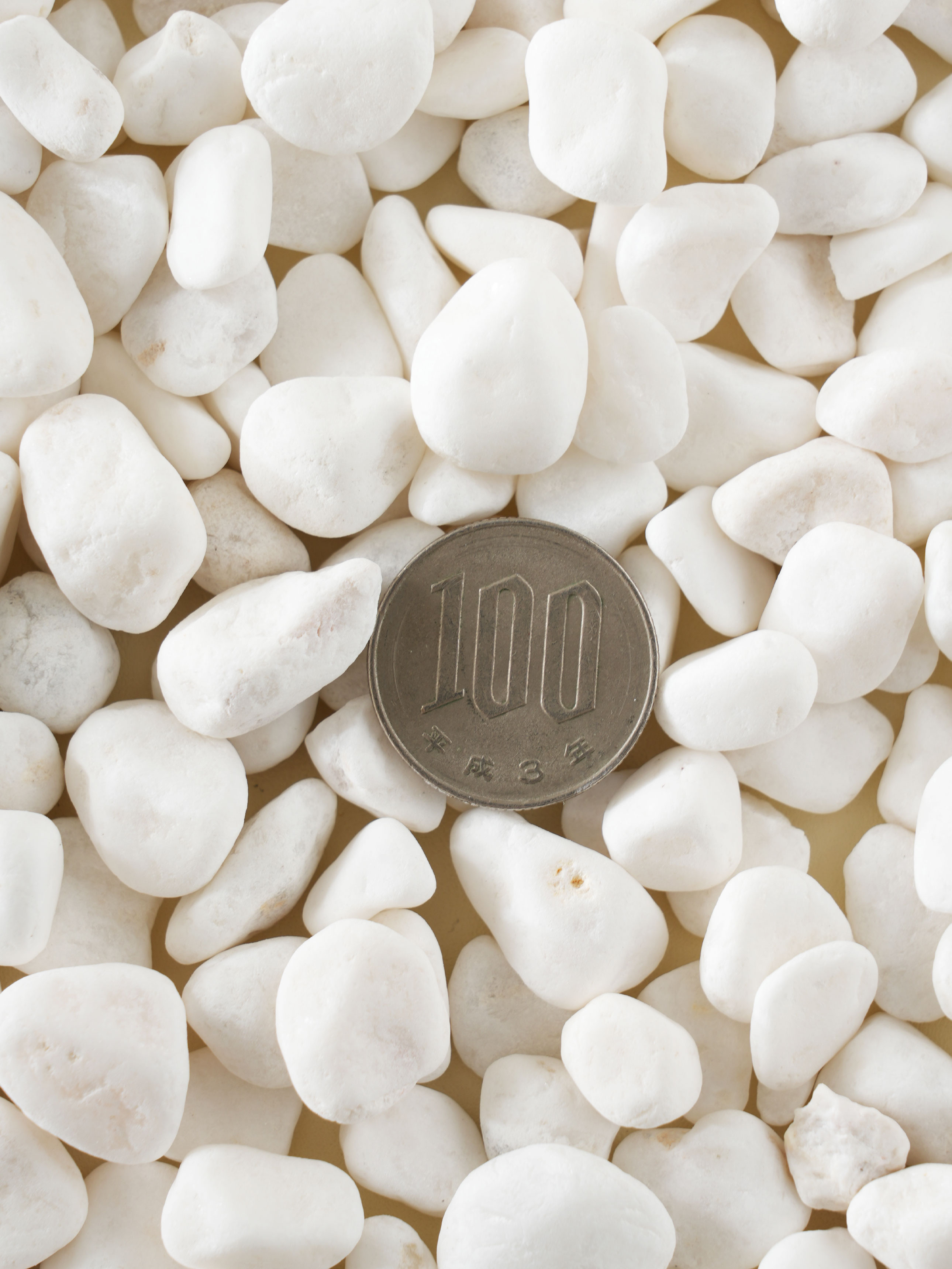 원예용 자갈 1 kg 중립 화이트