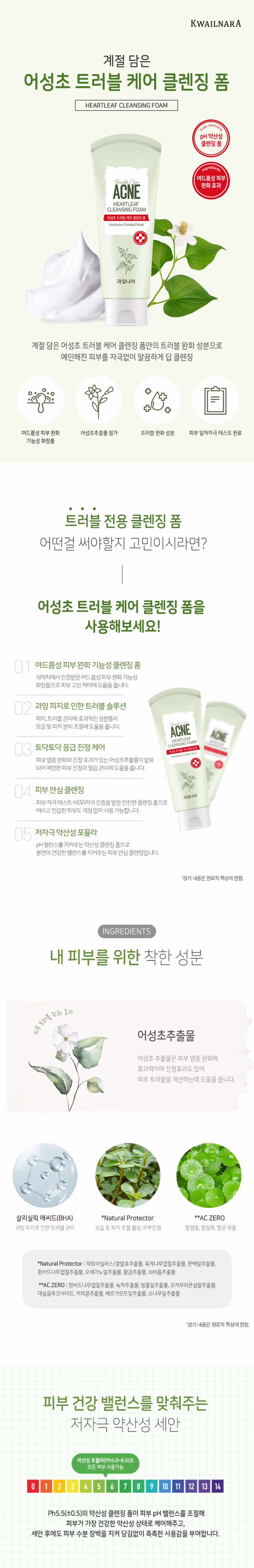 DAISO Kwailnara Heartleaf Acne Cleansing Foam 130g