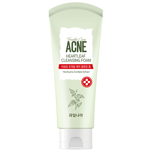 과일나라 계절담은 어성초 트러블케어 클렌징폼