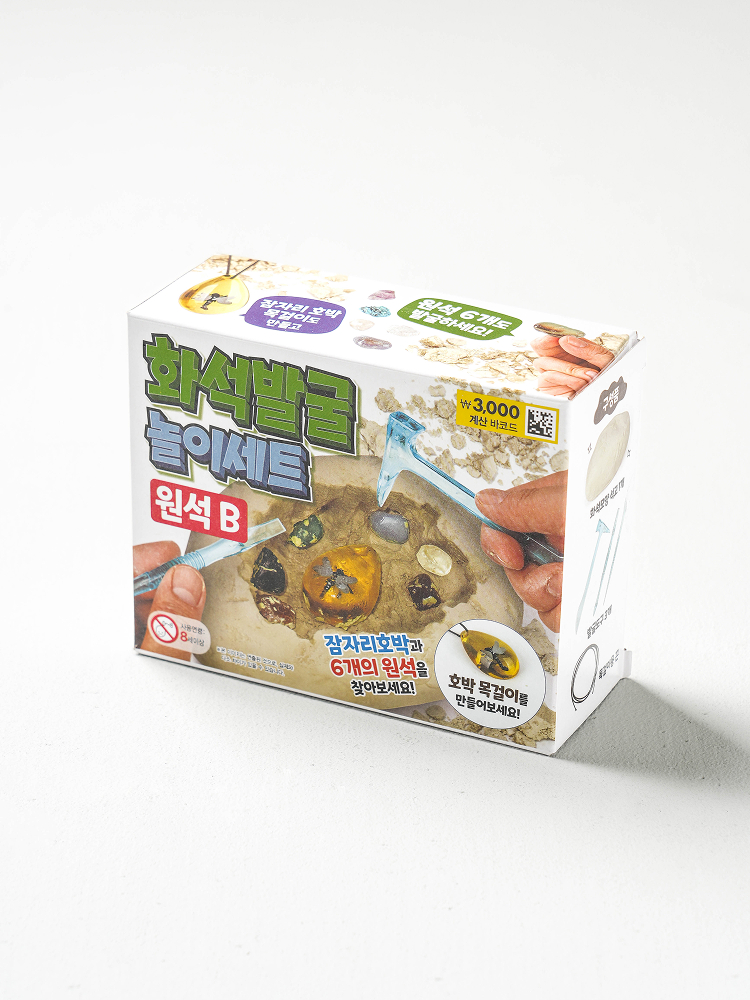 화석 발굴 놀이 세트 잠자리 호박