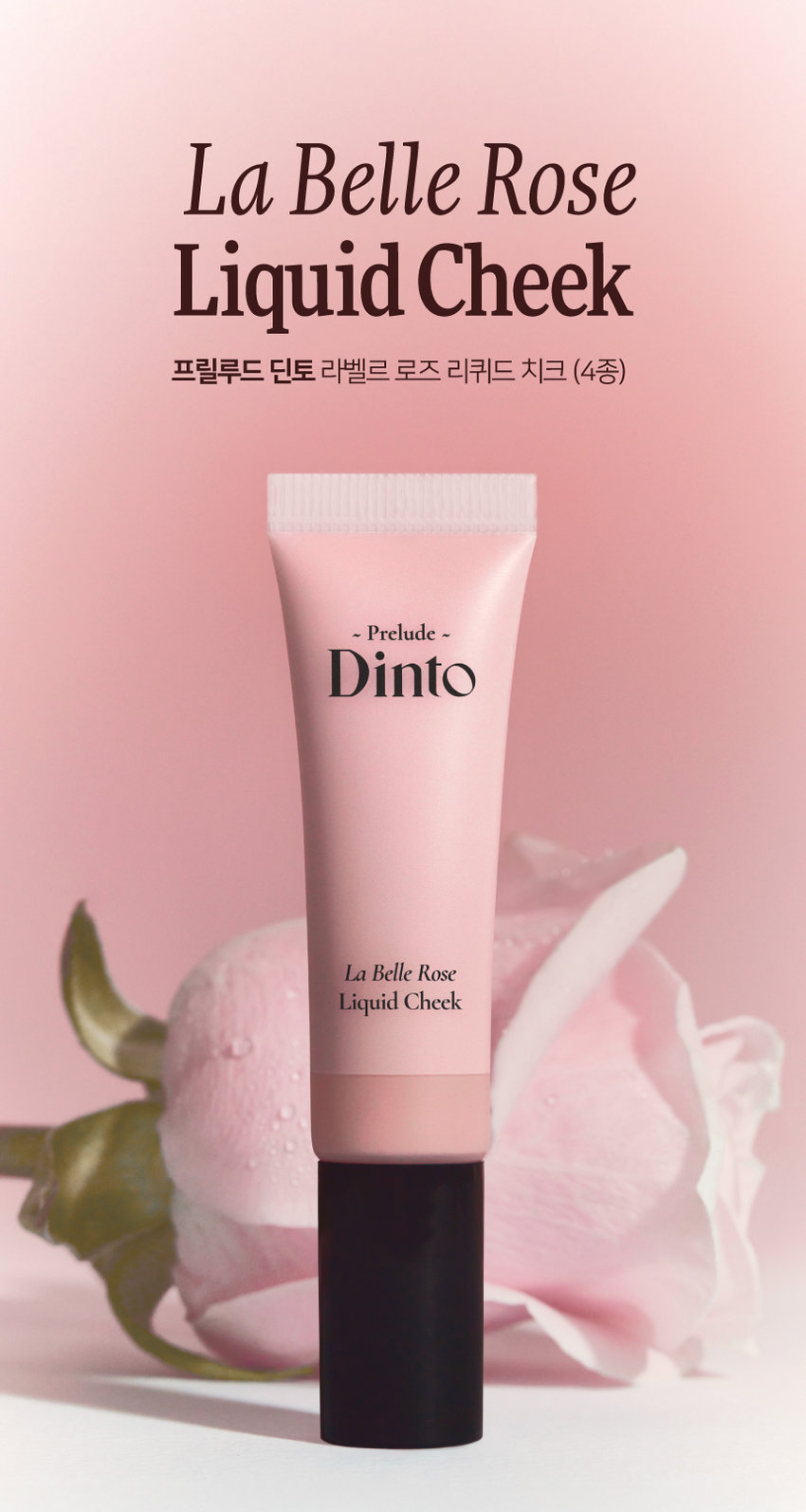 **Prelude Dinto La Belle Rose Liquid Cheek**  **프릴루드 딘토 라벨르 로즈 리퀴드 치크 (4종)**  - **Prelude**    **Dinto**    **La Belle Rose**    **Liquid Cheek**    **Used Color: 61 Baby Rose**    - <비밀의 정원>에서 피어난 장미, 사랑에 젖은 뺨을 피워내는 로즈 블러셔 컬렉션    - 01 02 03      **Fresh Natural Hydrating**      **Natural Blush Healthy Glow Comfort**      맑고 청순한 피부 본연의 촉촉하고 편안한 내추럴 컬러링 건강한 윤광 생기보습    - **4 Colors**      61 Baby Rose 62 Lady Rose 63 Madame Rose 64 Muse Rose      - **베이비 로즈** (NEUTRAL)      - **레이디 로즈** (WARM)      - **마담 로즈** (NEUTRAL)      - **뮤즈 로즈** (COOL)  **Prelude Dinto La Belle Rose Liquid Cheek**  - **가볍게 스며드는 워터 에멀전 텍스처, 맨얼굴인 듯 자연스러운 속광 리퀴드 치크**    **Used Color: 61 Baby Rose**    - **BEST**      61 Baby Rose (소프트 페일로즈)      62 Lady Rose (내추럴 코랄로즈)      63 Madame Rose (클래식 뮤트로즈)      64 Muse Rose (블러쉬 핑크로즈)  **Prelude Dinto La Belle Rose Liquid Cheek**  - **