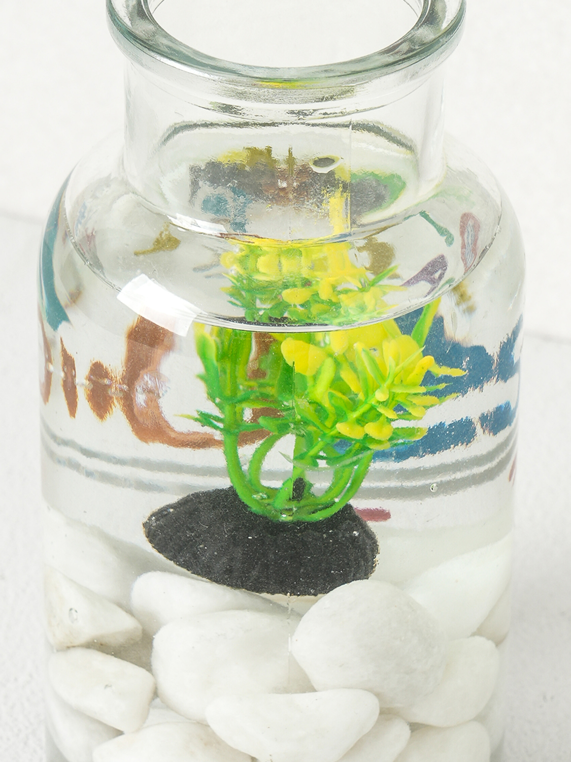 [Pet] Мини-водоросли 6 шт.