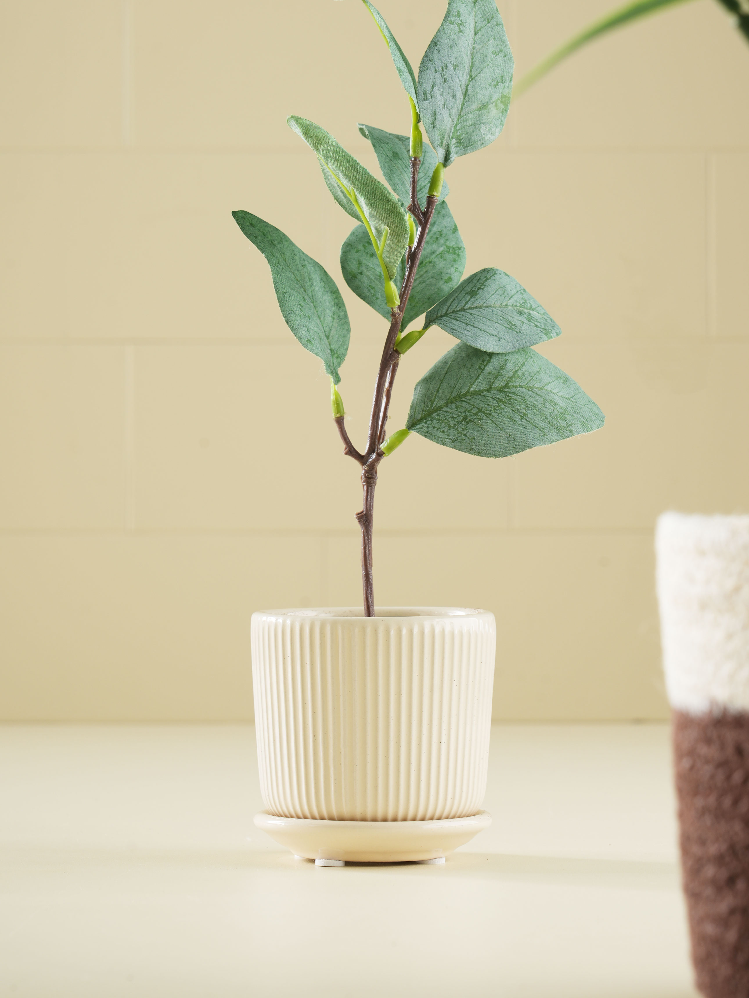 유광 스트라이프 일체형 도기 화분 8.2 cm