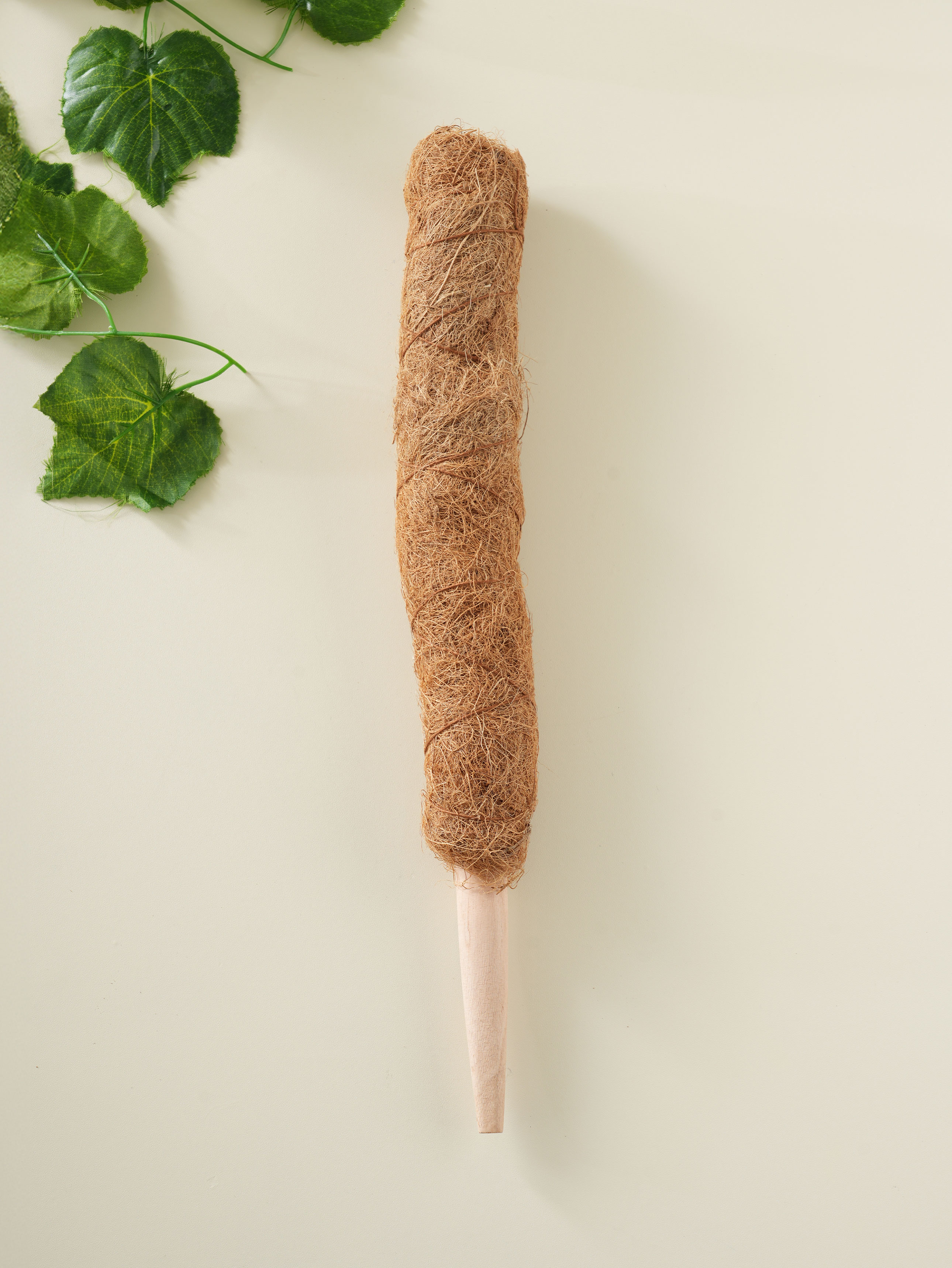 코코넛 수태봉 40 cm