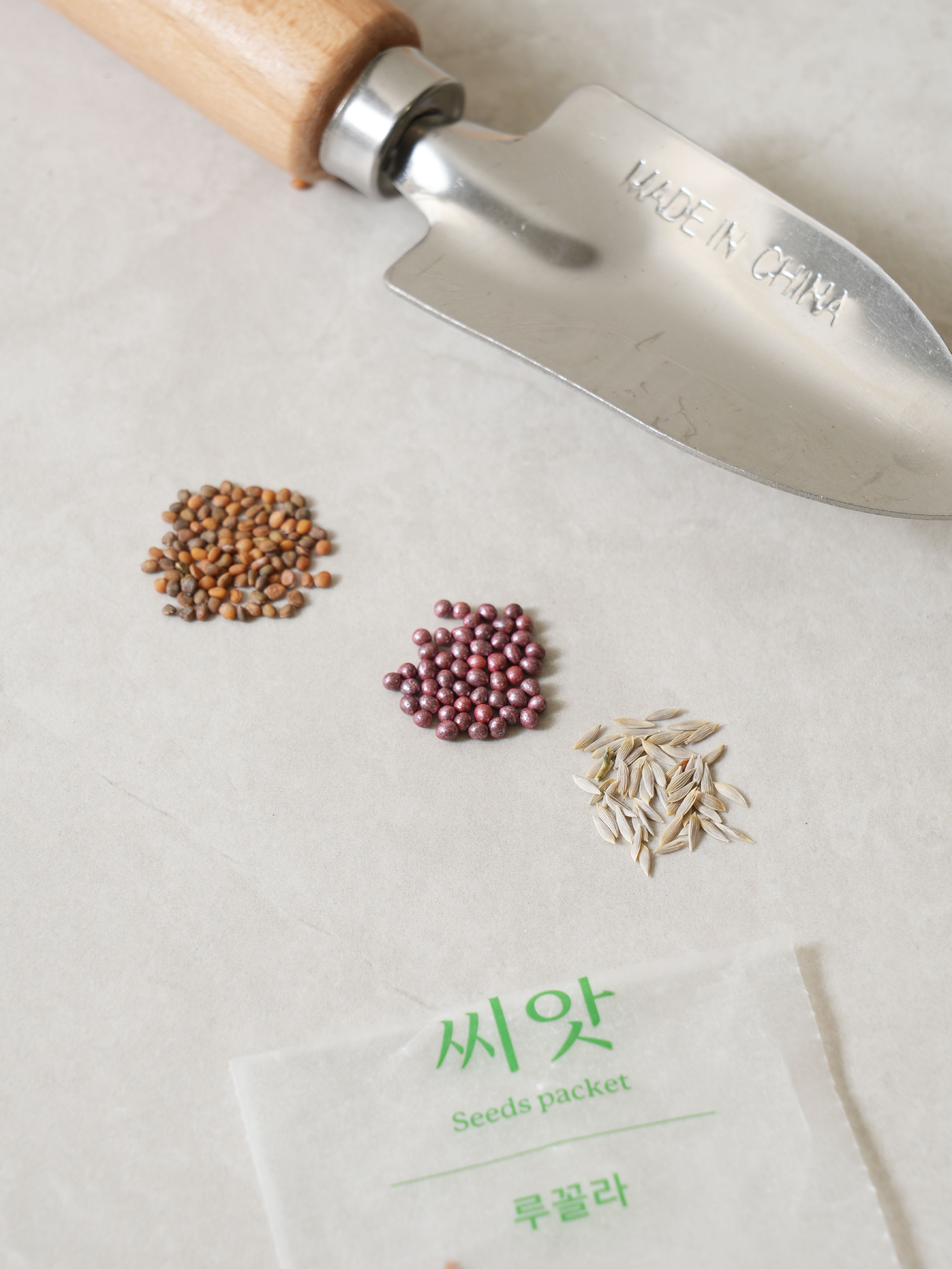씨앗으로 요리하기 야채 샐러드
