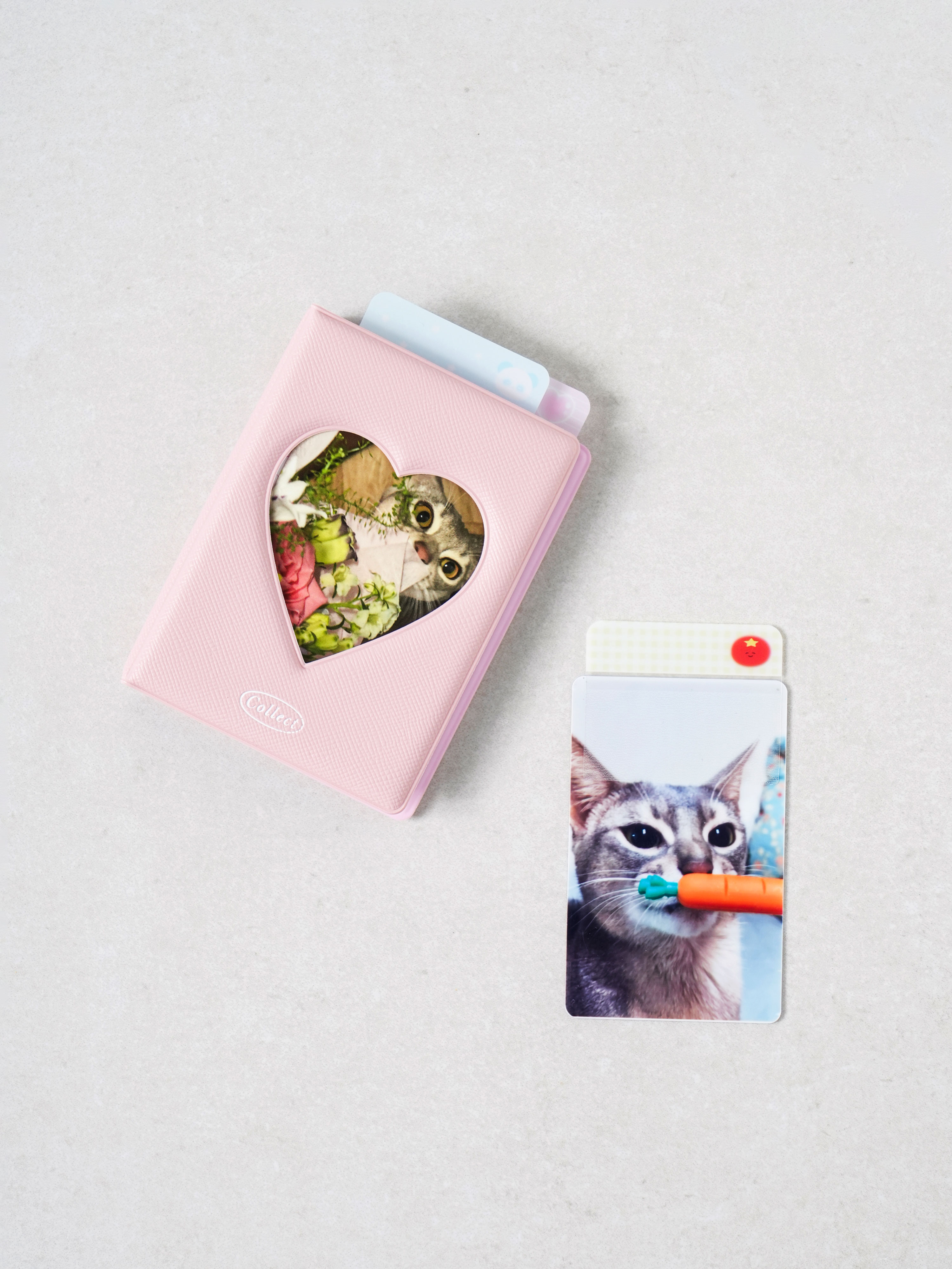 디자인 PET 인덱스 30매입