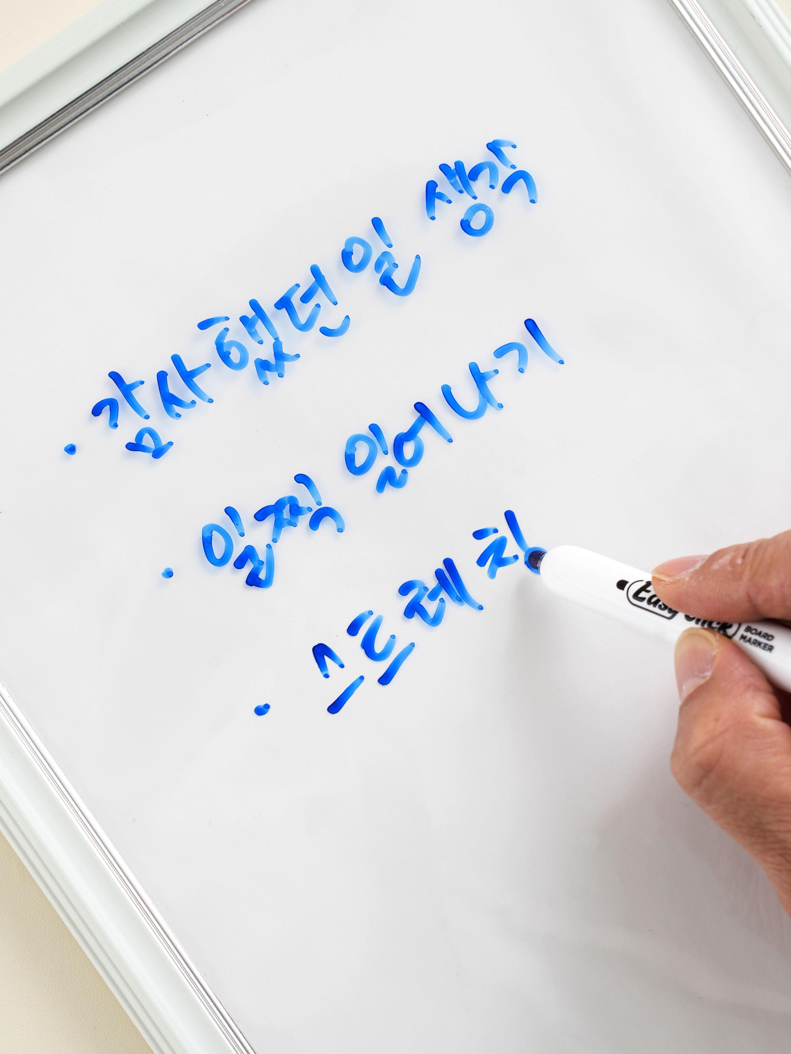 모나미 이지 클릭 보드 마카 블루