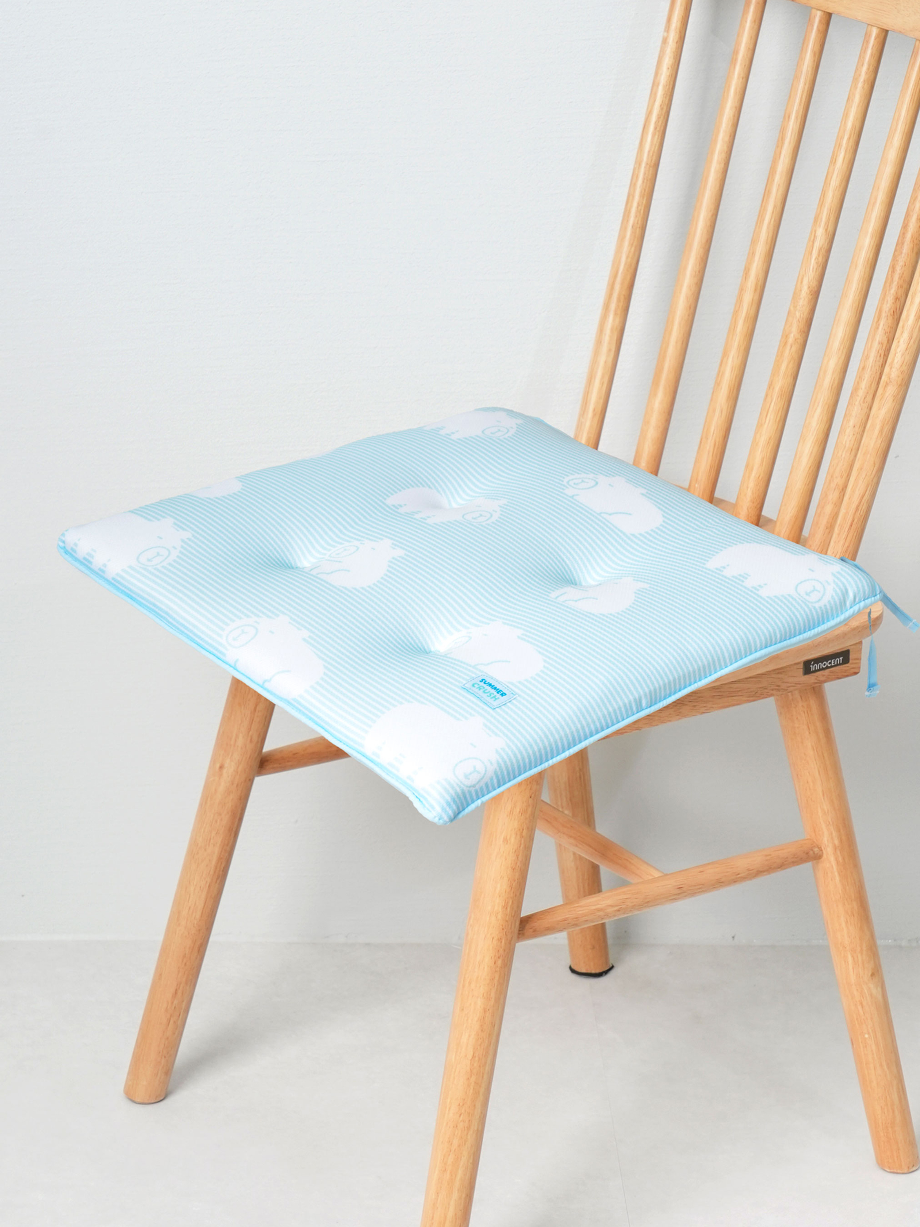 다이소 쿨썸머 냉감 사각 방석 42 X 42 cm 카피바라