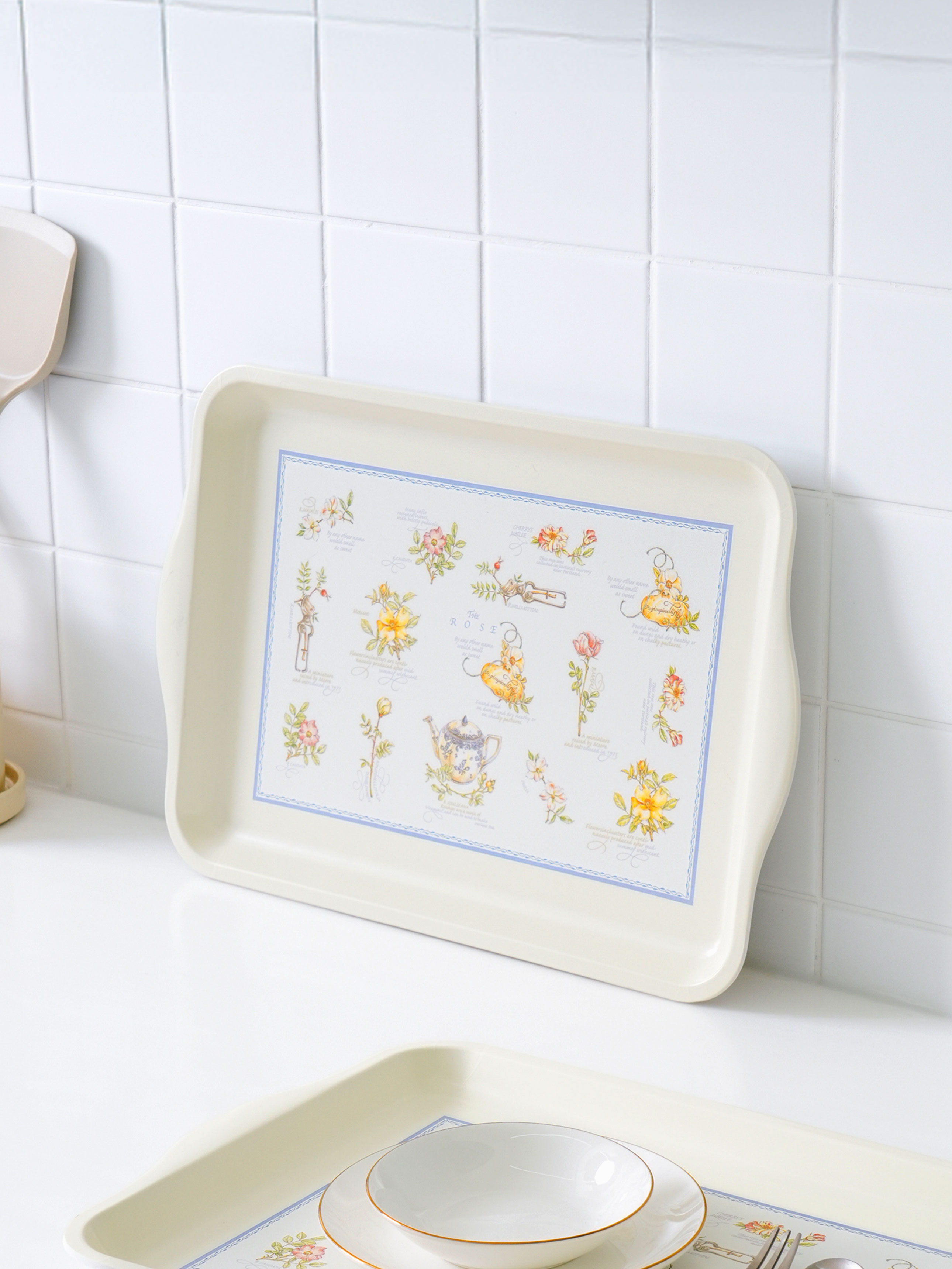 Поднос с титановыми ручками 40 X 27 cm